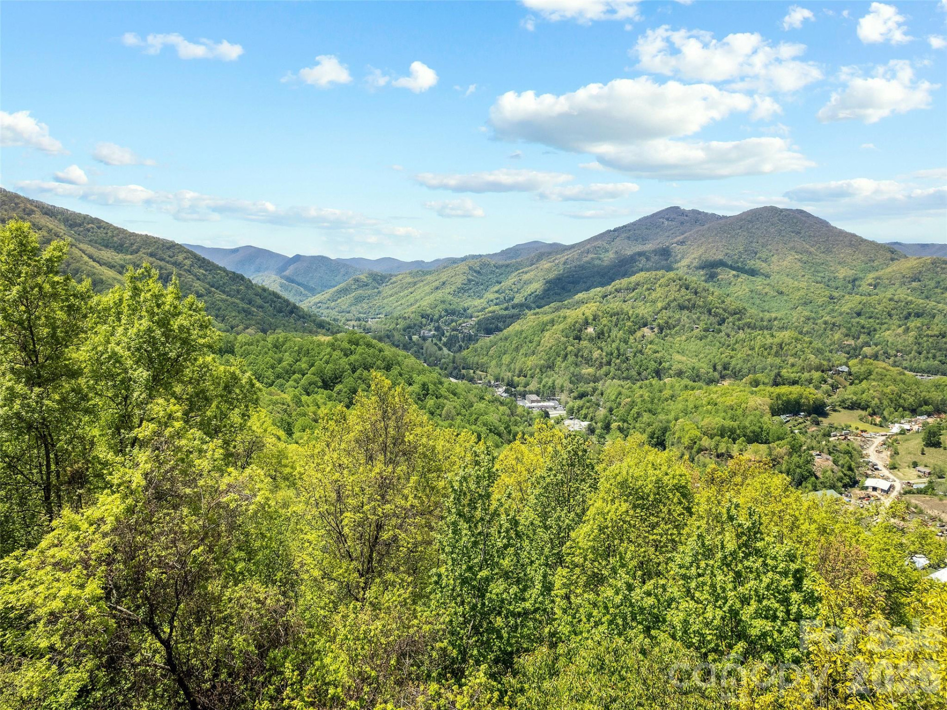 00 Locust Trail - Photo 12