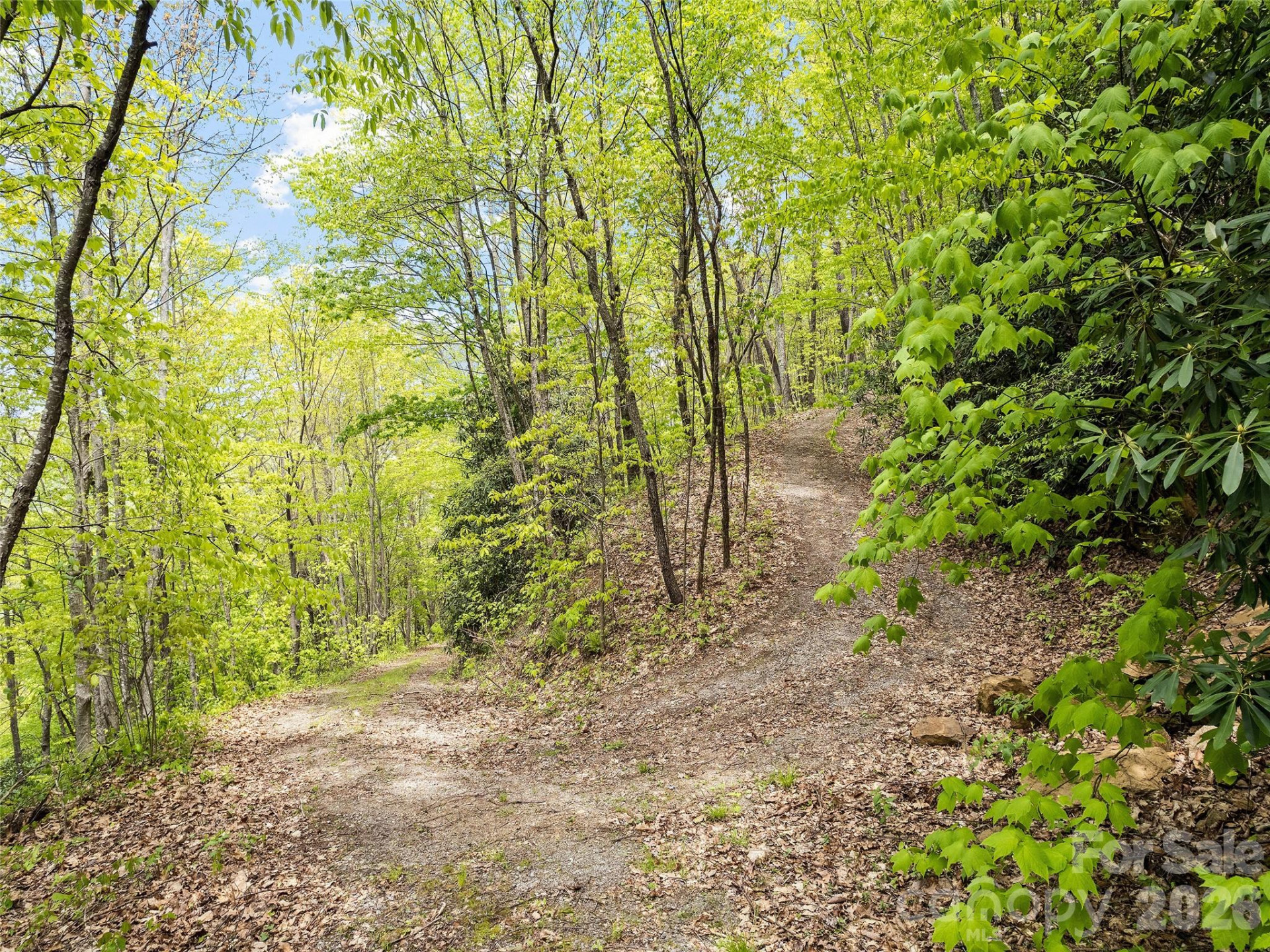 00 Locust Trail - Photo 15