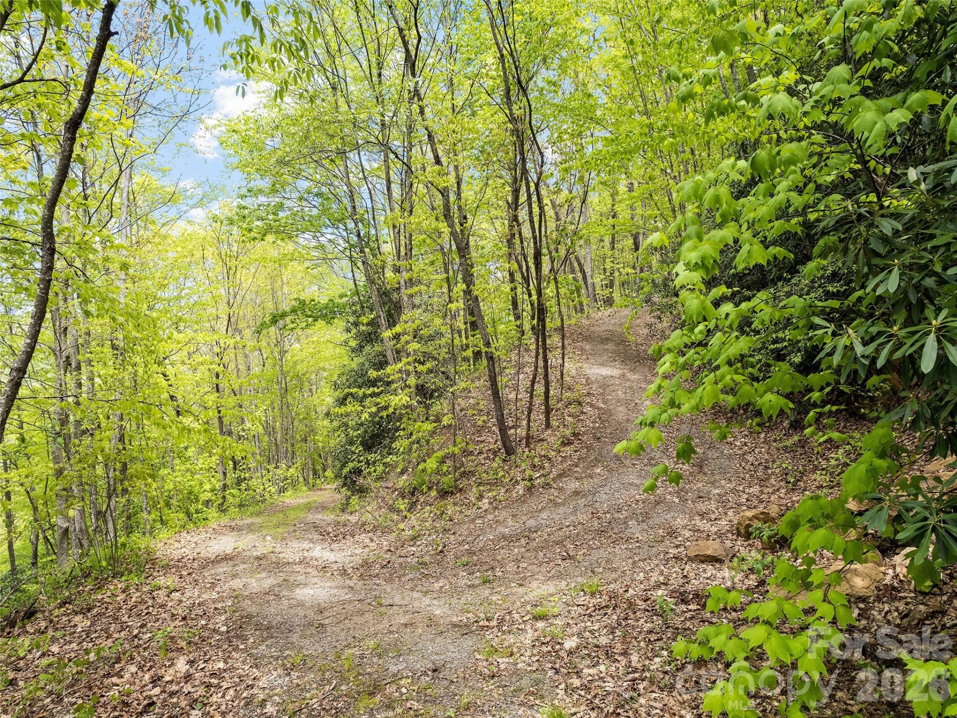 00 Locust Trail - Photo 15