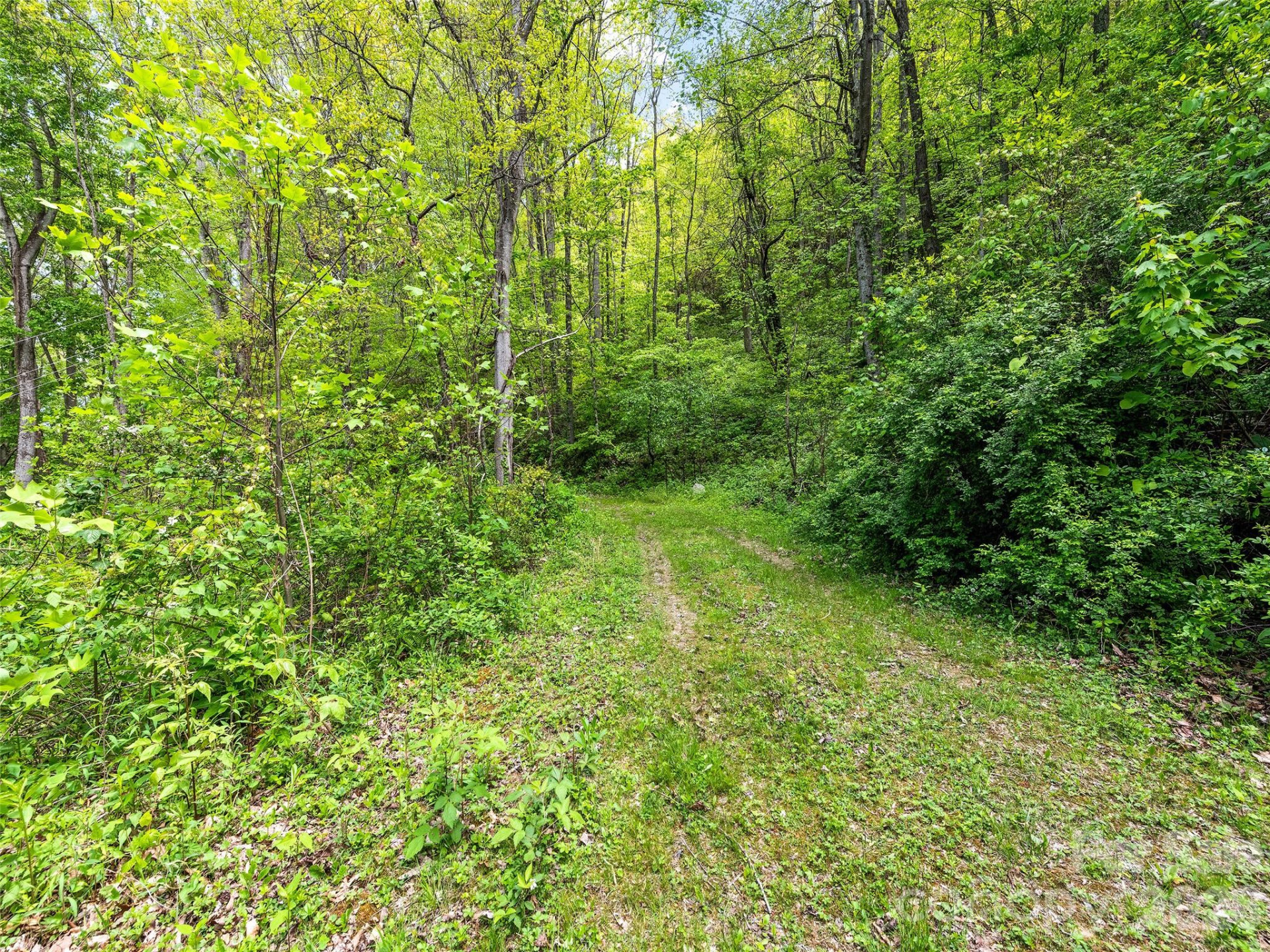 00 Locust Trail - Photo 19