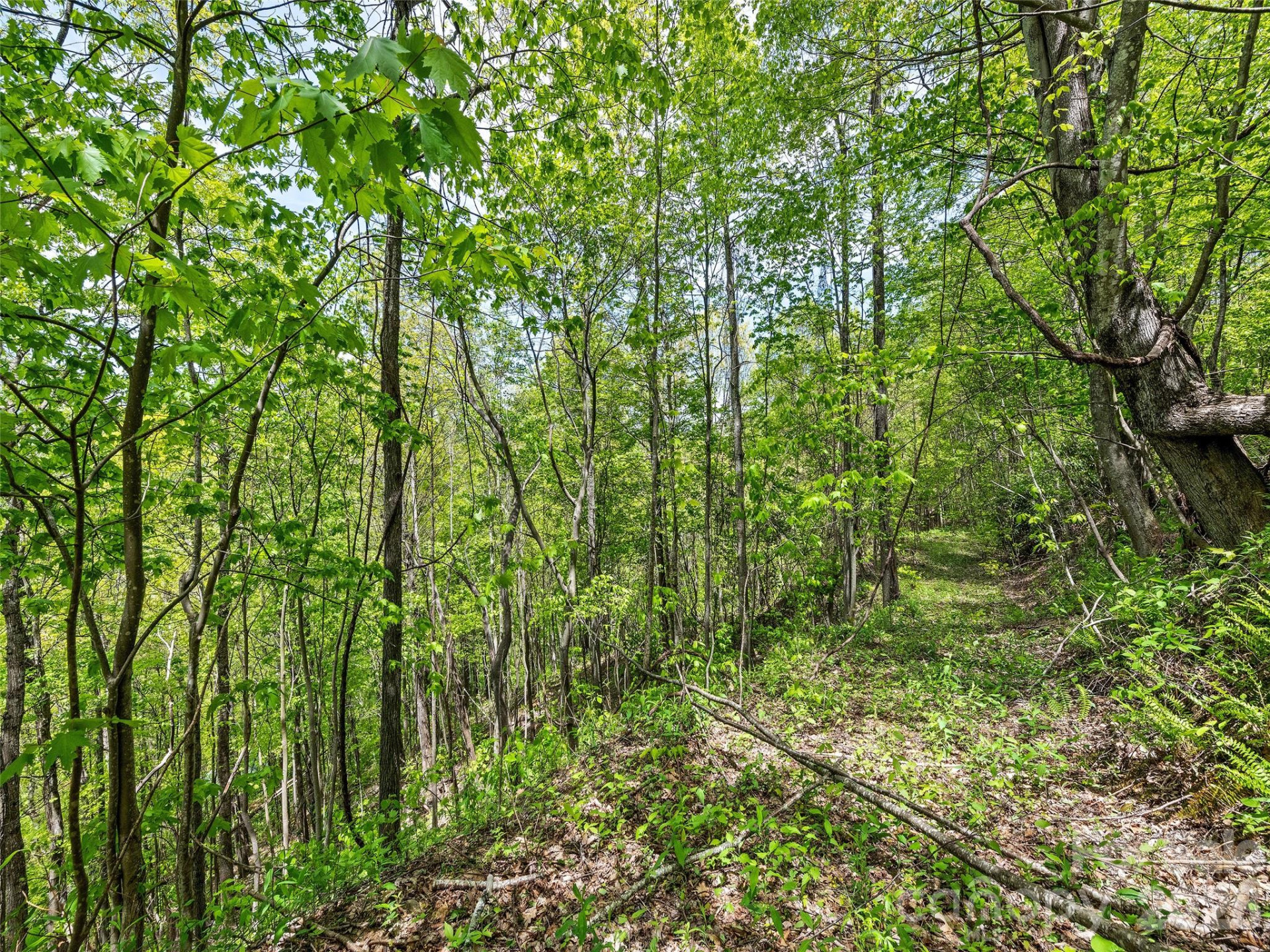 00 Locust Trail - Photo 23