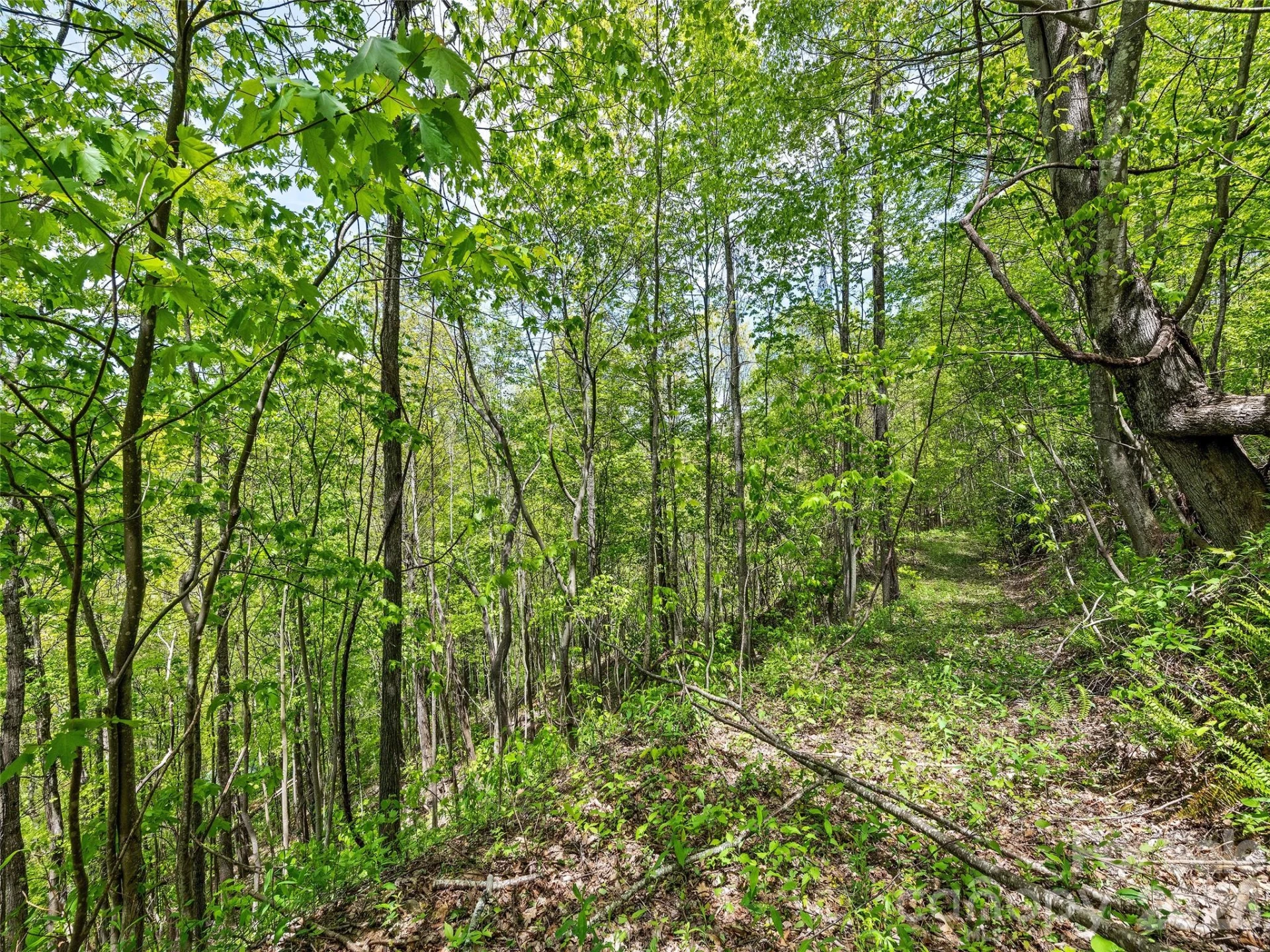 00 Locust Trail - Photo 23