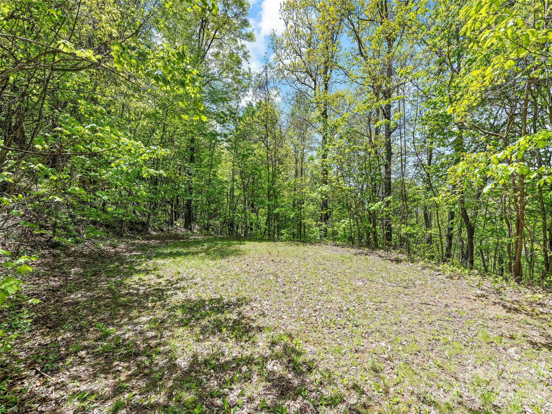 00 Locust Trail - Photo 25