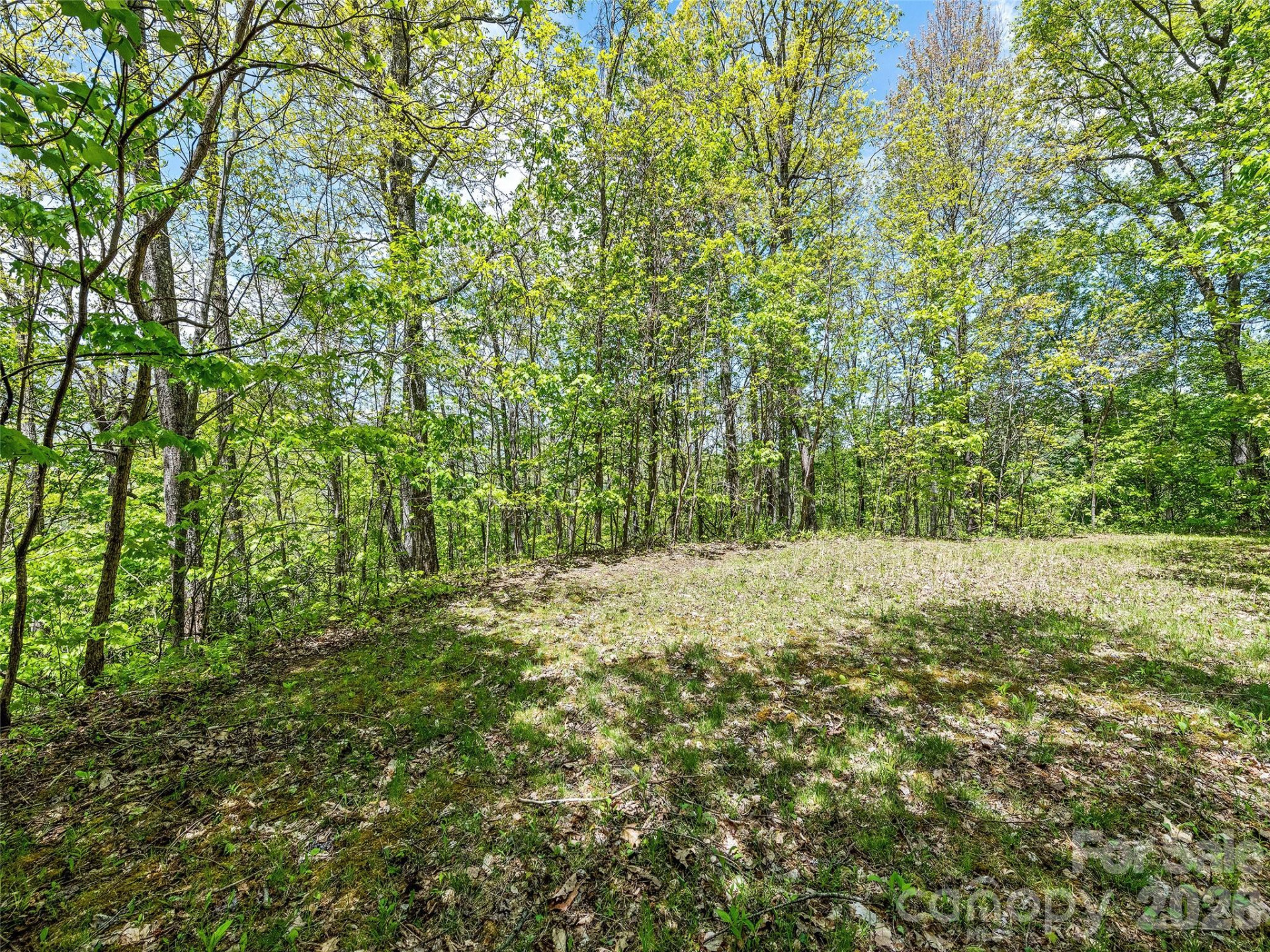 00 Locust Trail - Photo 26
