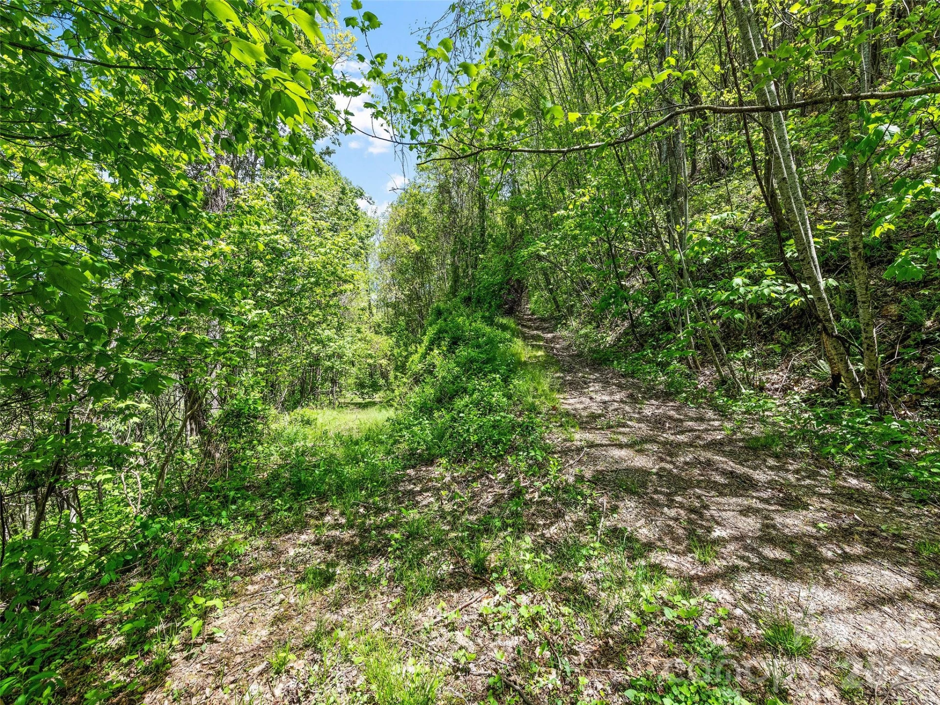 00 Locust Trail - Photo 27