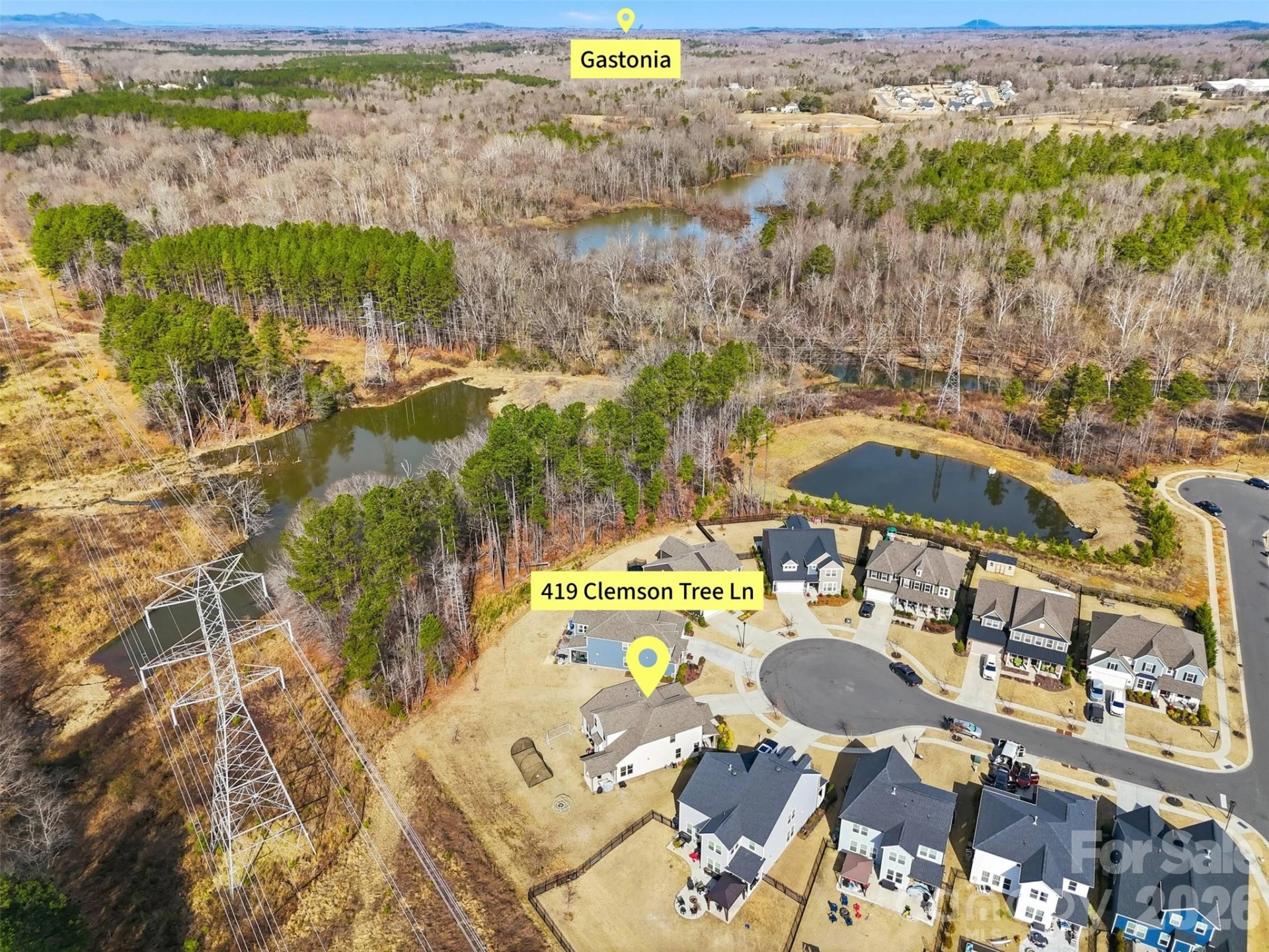 419 Clemson Tree Lane - Photo 45
