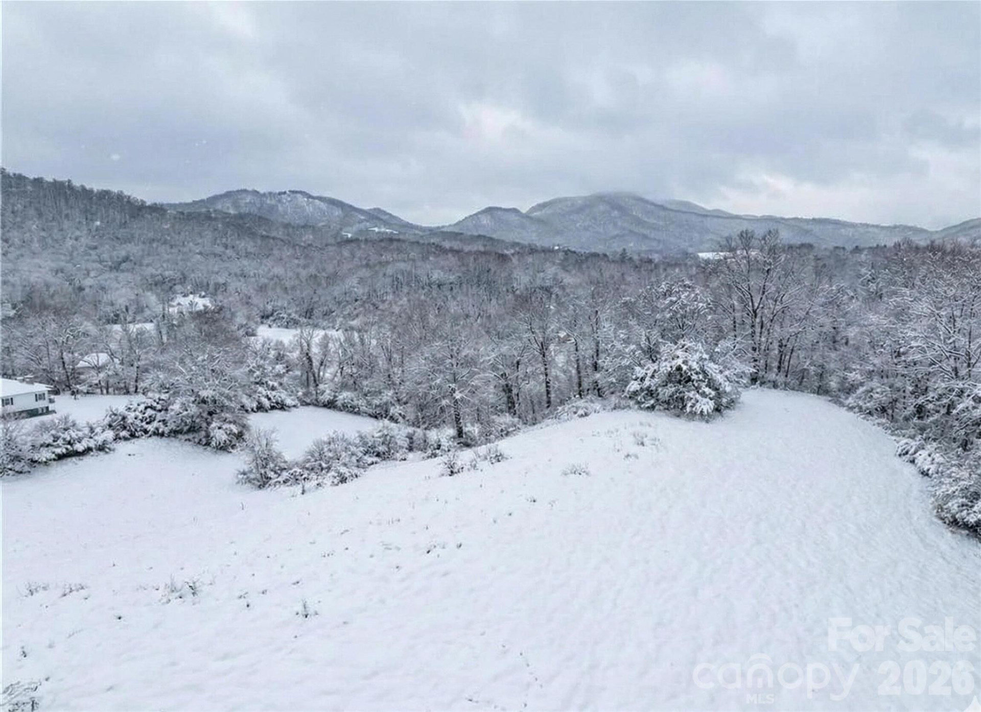 37 Amber Lane - Photo 11