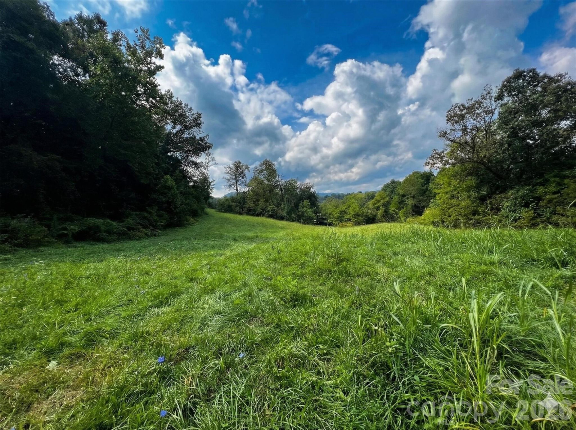 37 Amber Lane - Photo 3