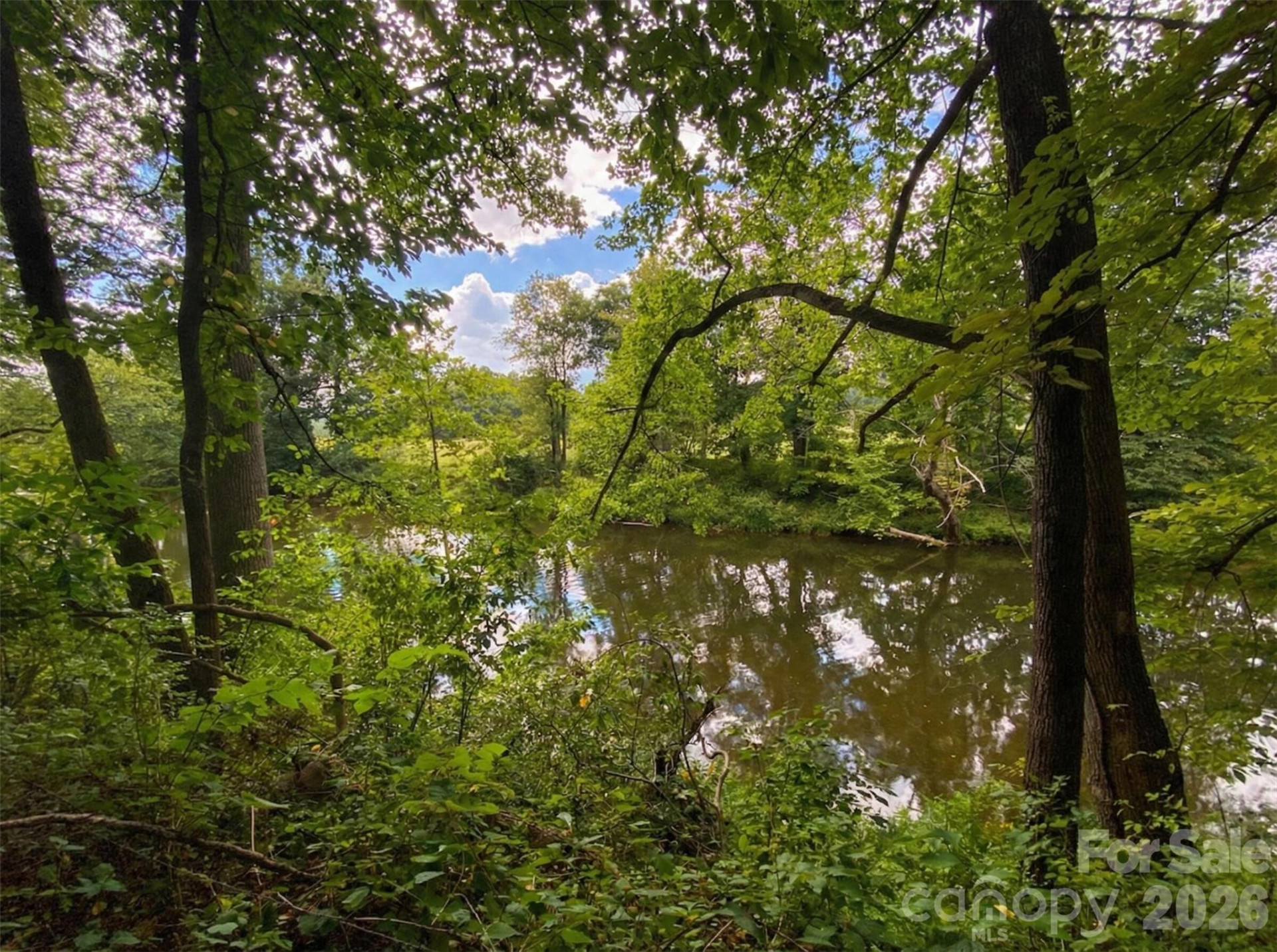 37 Amber Lane - Photo 4