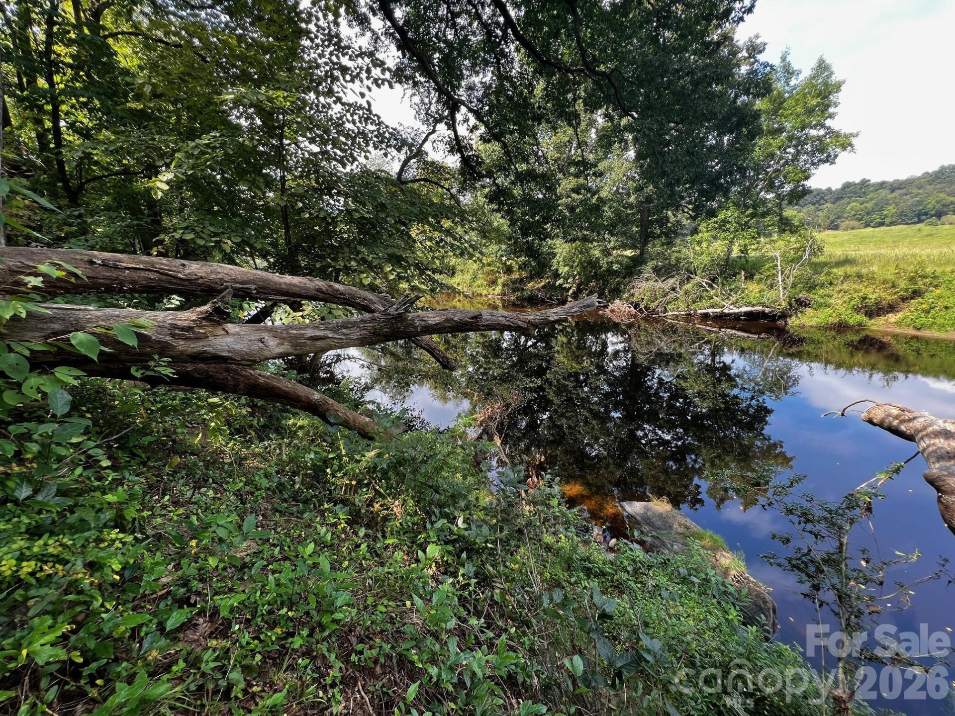 37 Amber Lane - Photo 5