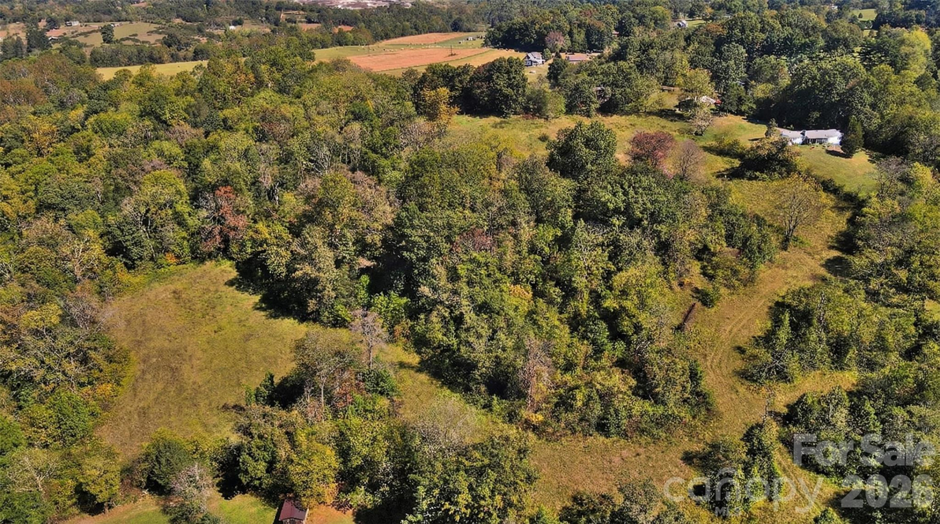 37 Amber Lane - Photo 7