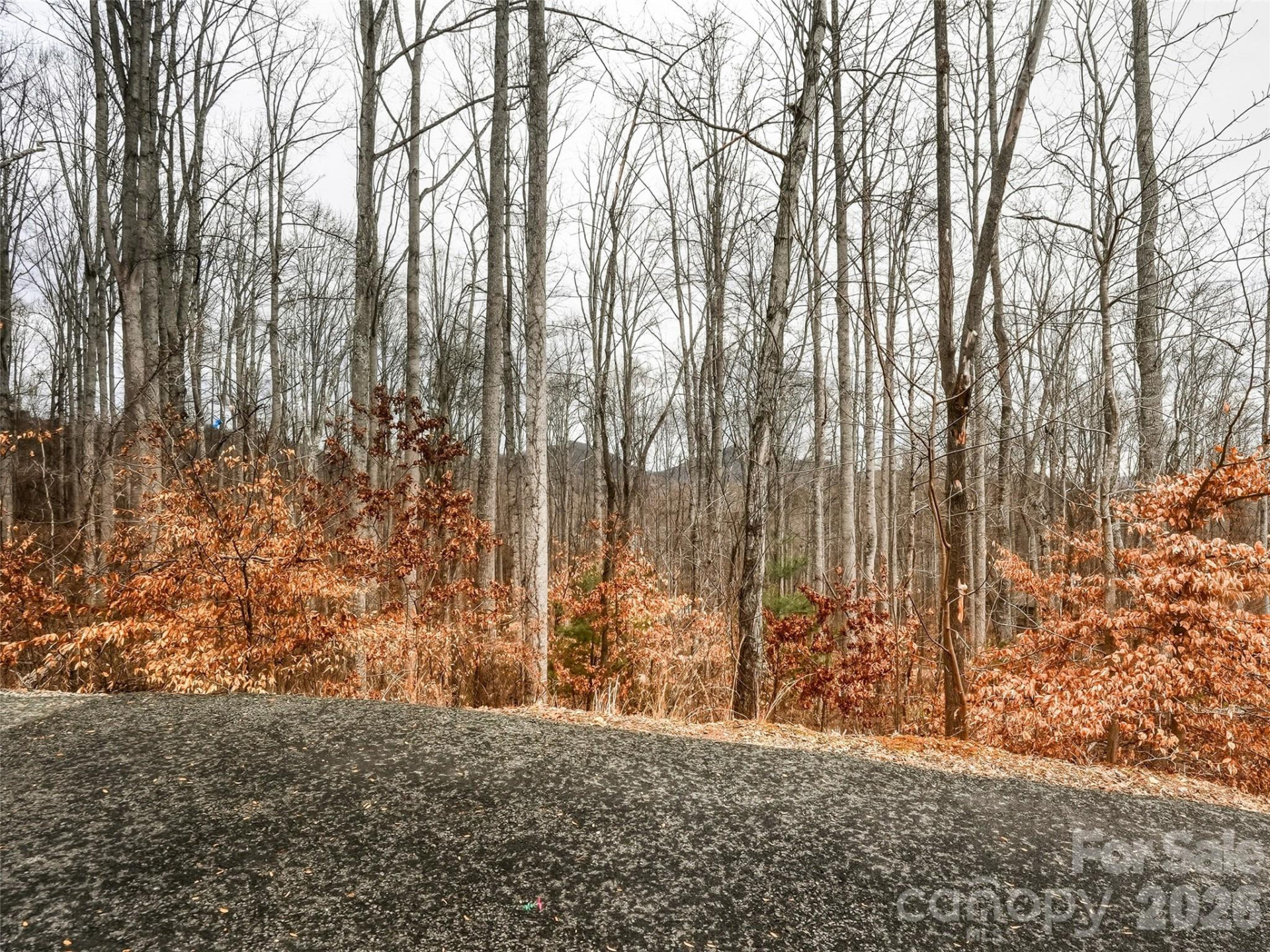 51 Leatherwood Drive - Photo 36