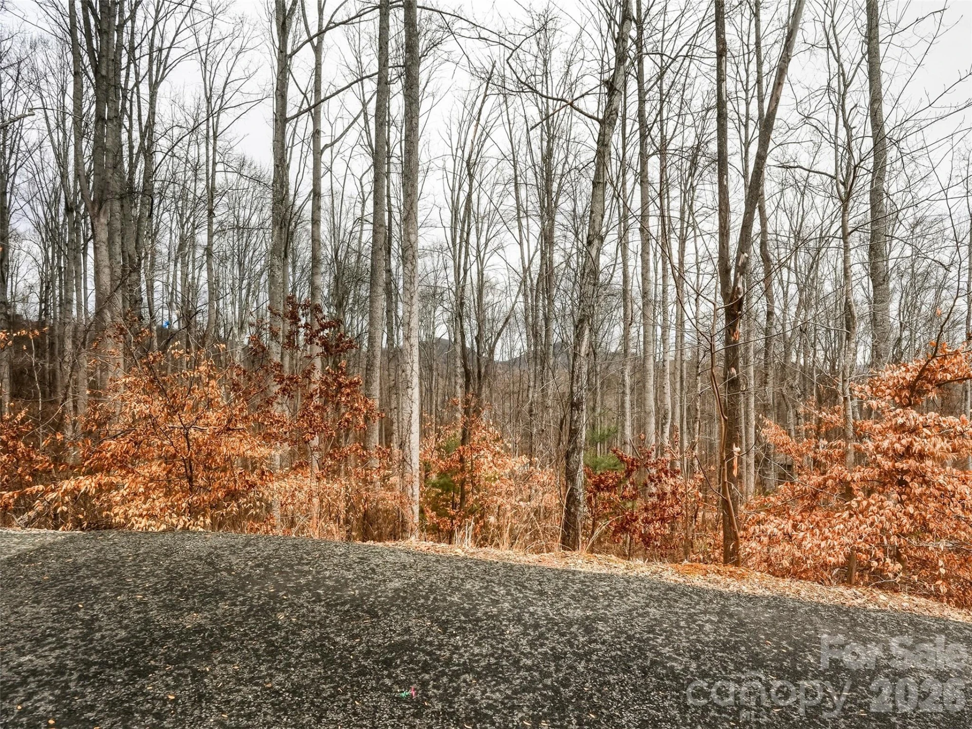 51 Leatherwood Drive - Photo 36