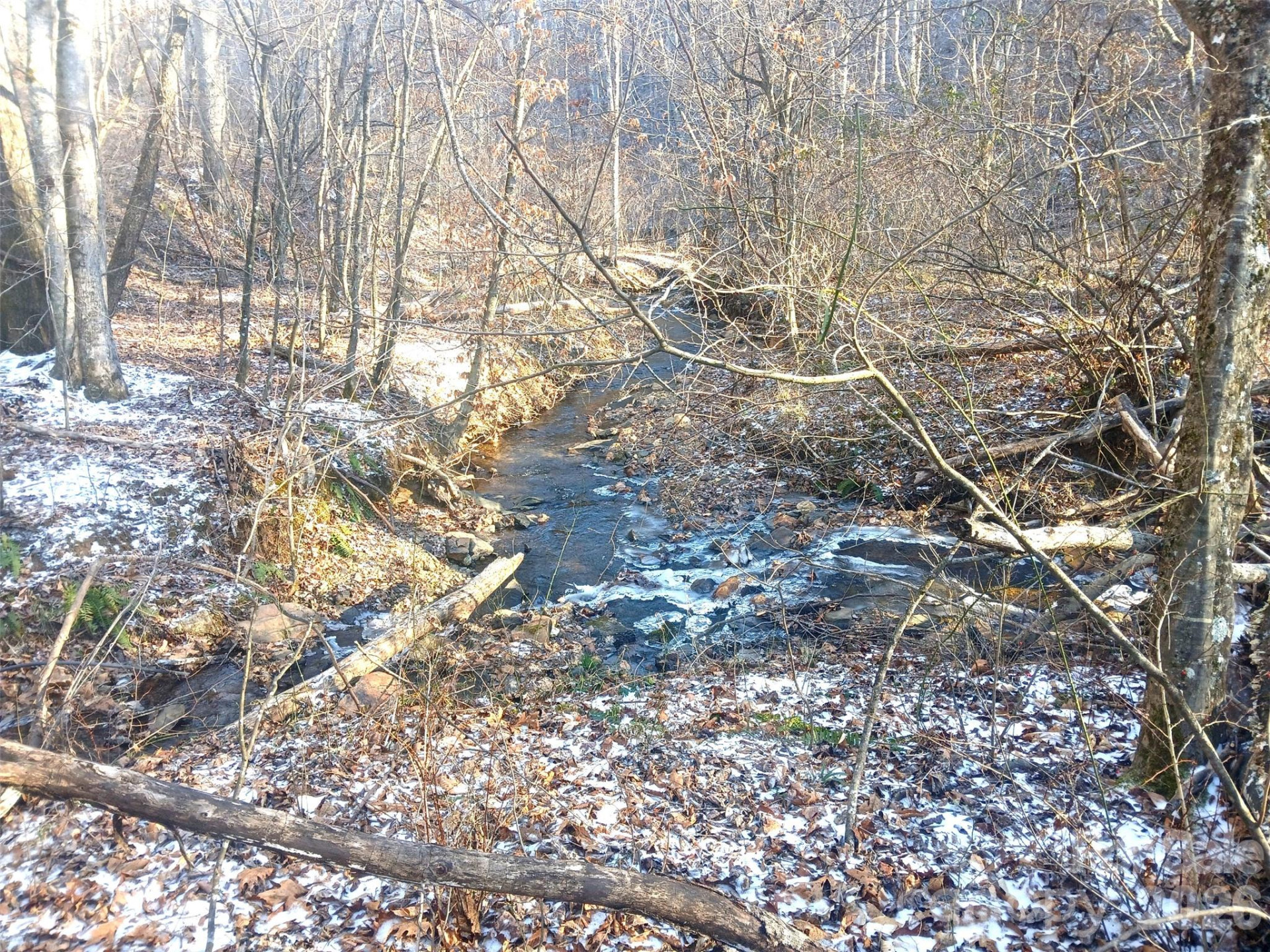 1874 Double Island Road - Photo 5