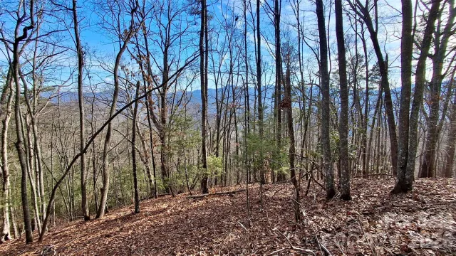 0 Briarwood Road, Webster, NC, 28788