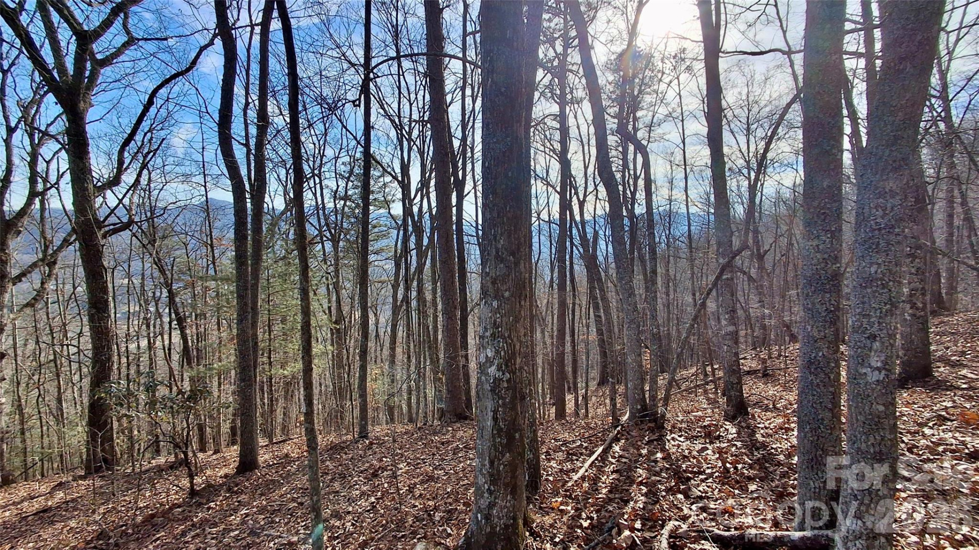 0 Briarwood Road - Photo 2