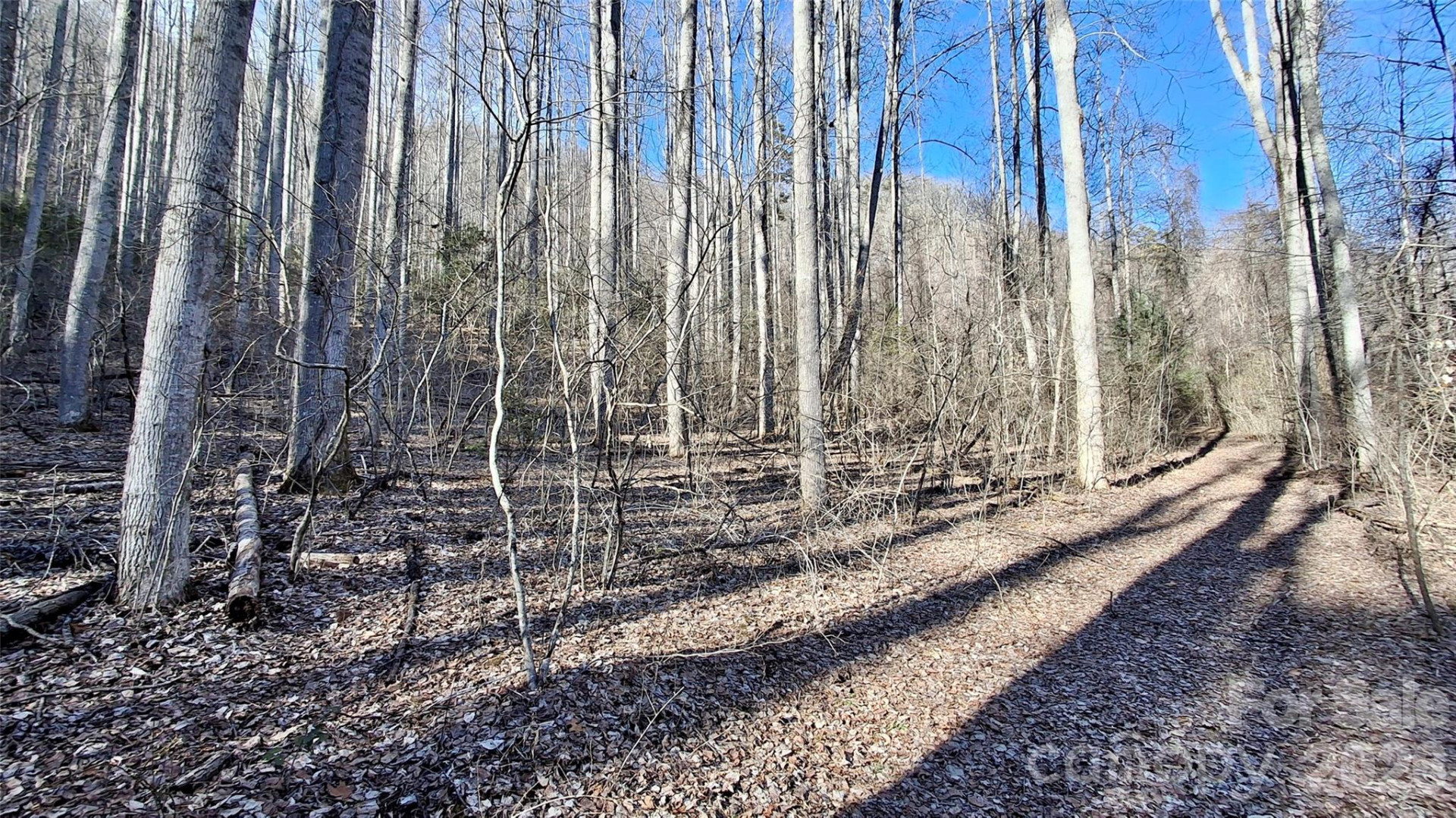 0 Briarwood Road - Photo 11