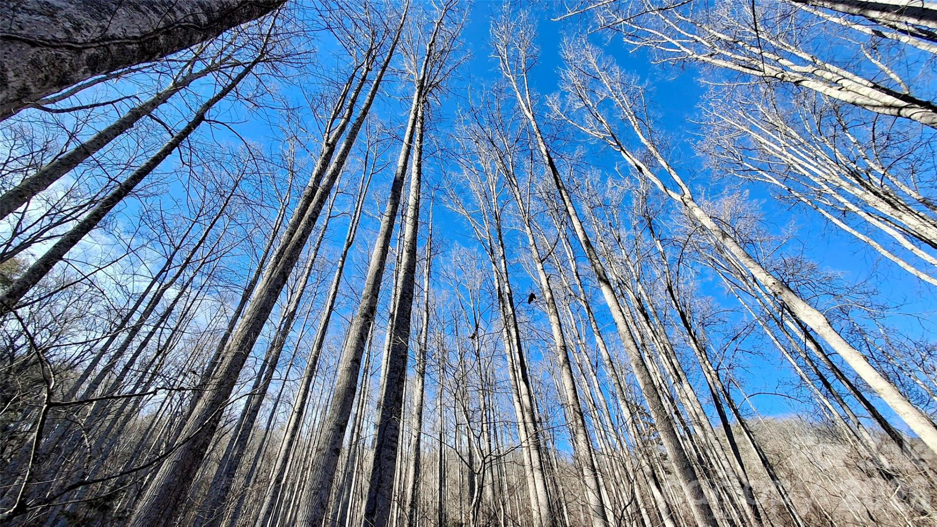 0 Briarwood Road - Photo 12