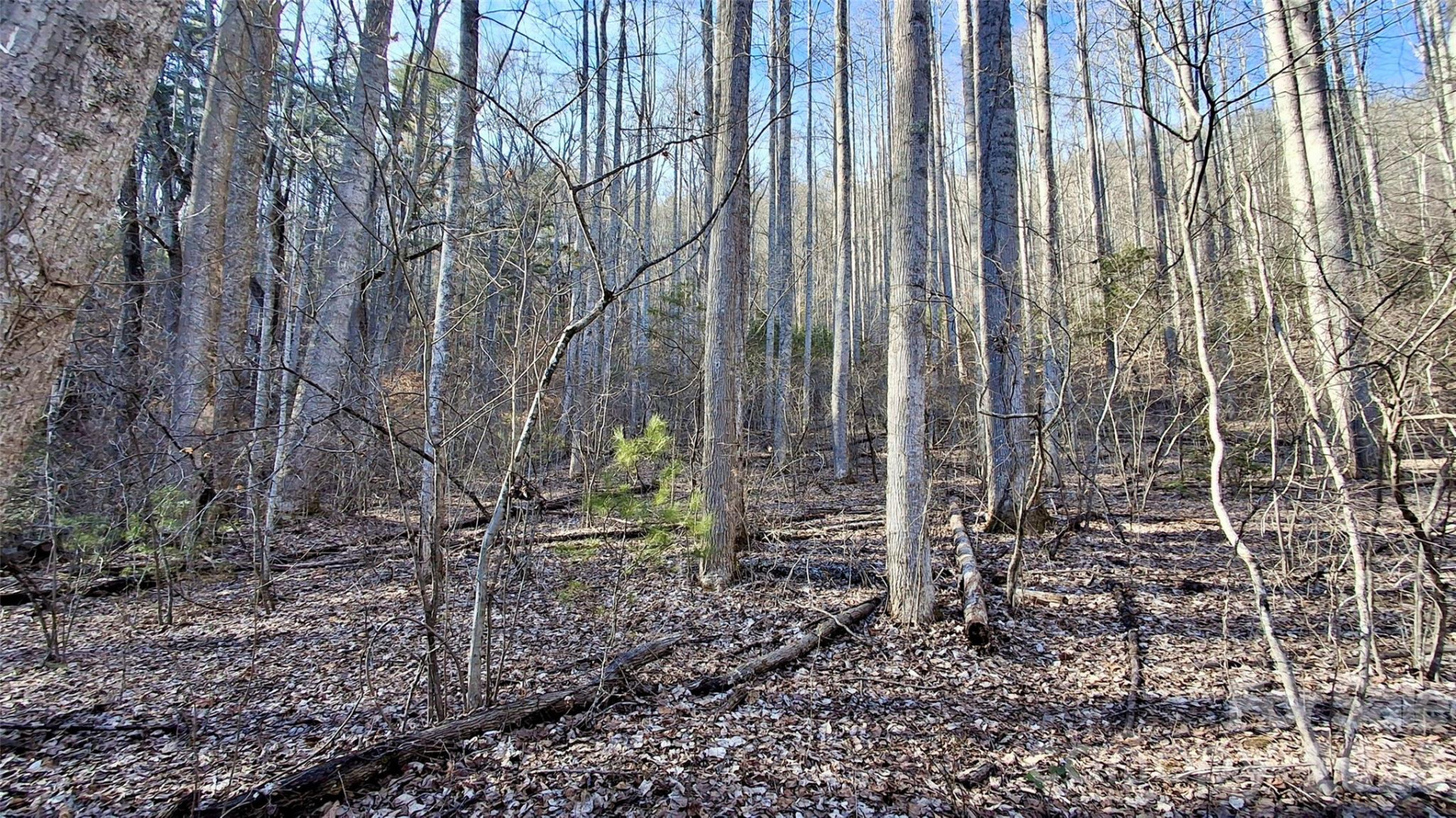 0 Briarwood Road - Photo 13