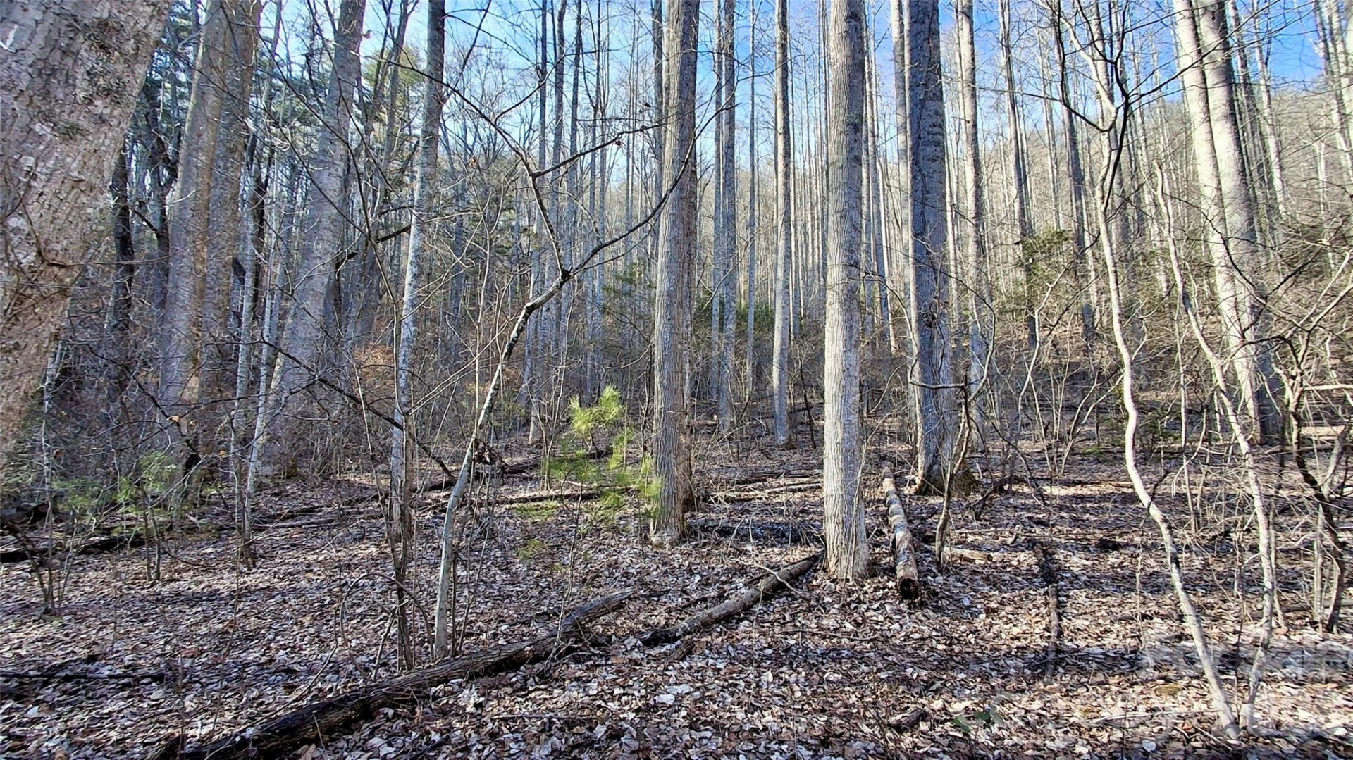 0 Briarwood Road - Photo 13