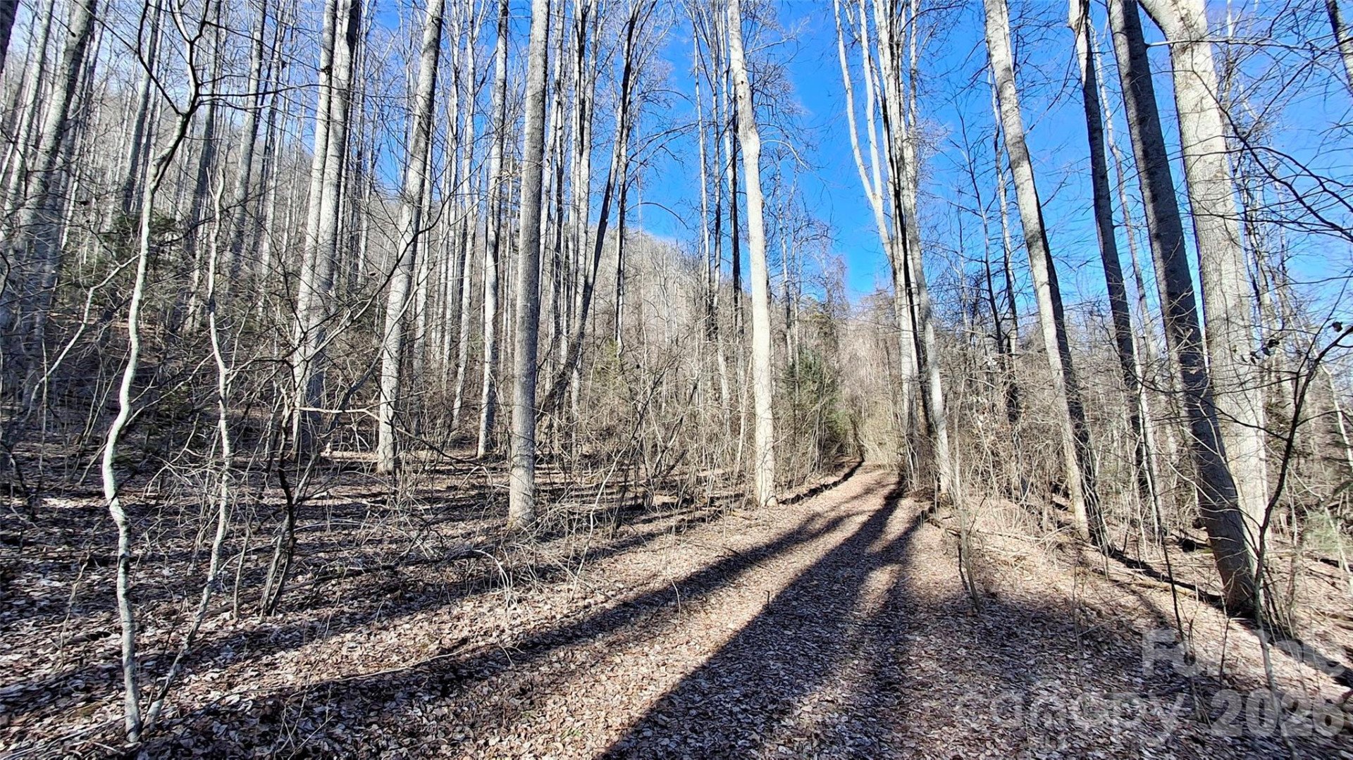 0 Briarwood Road - Photo 14