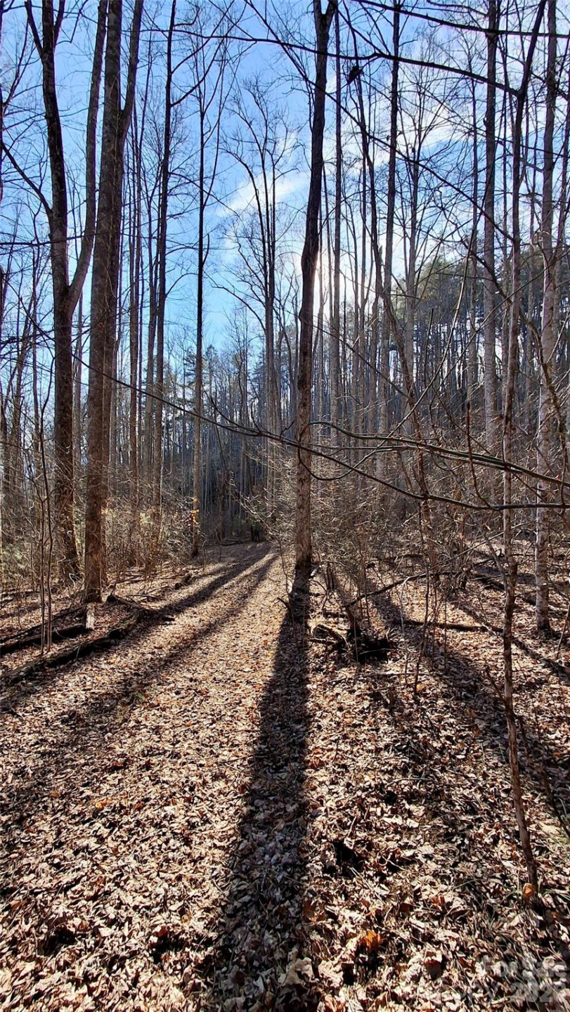 0 Briarwood Road - Photo 15