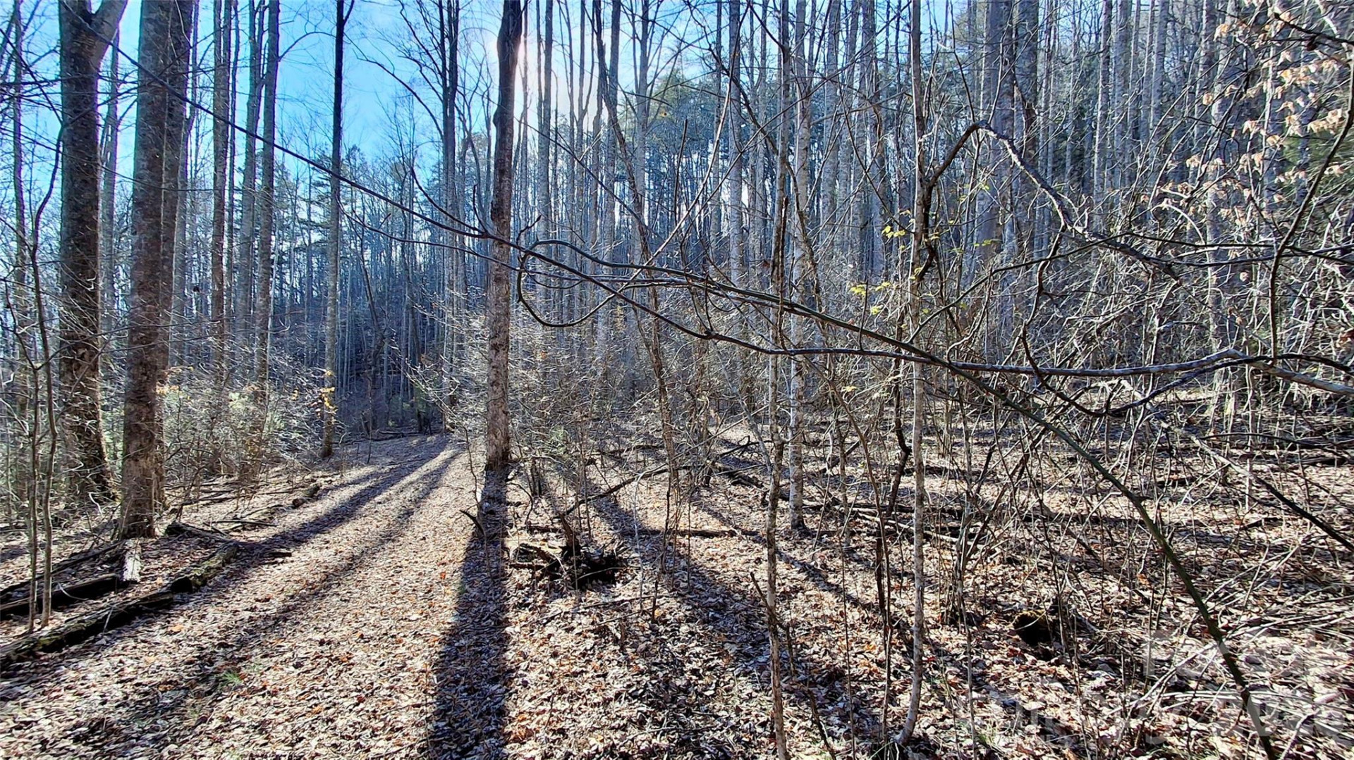 0 Briarwood Road - Photo 16