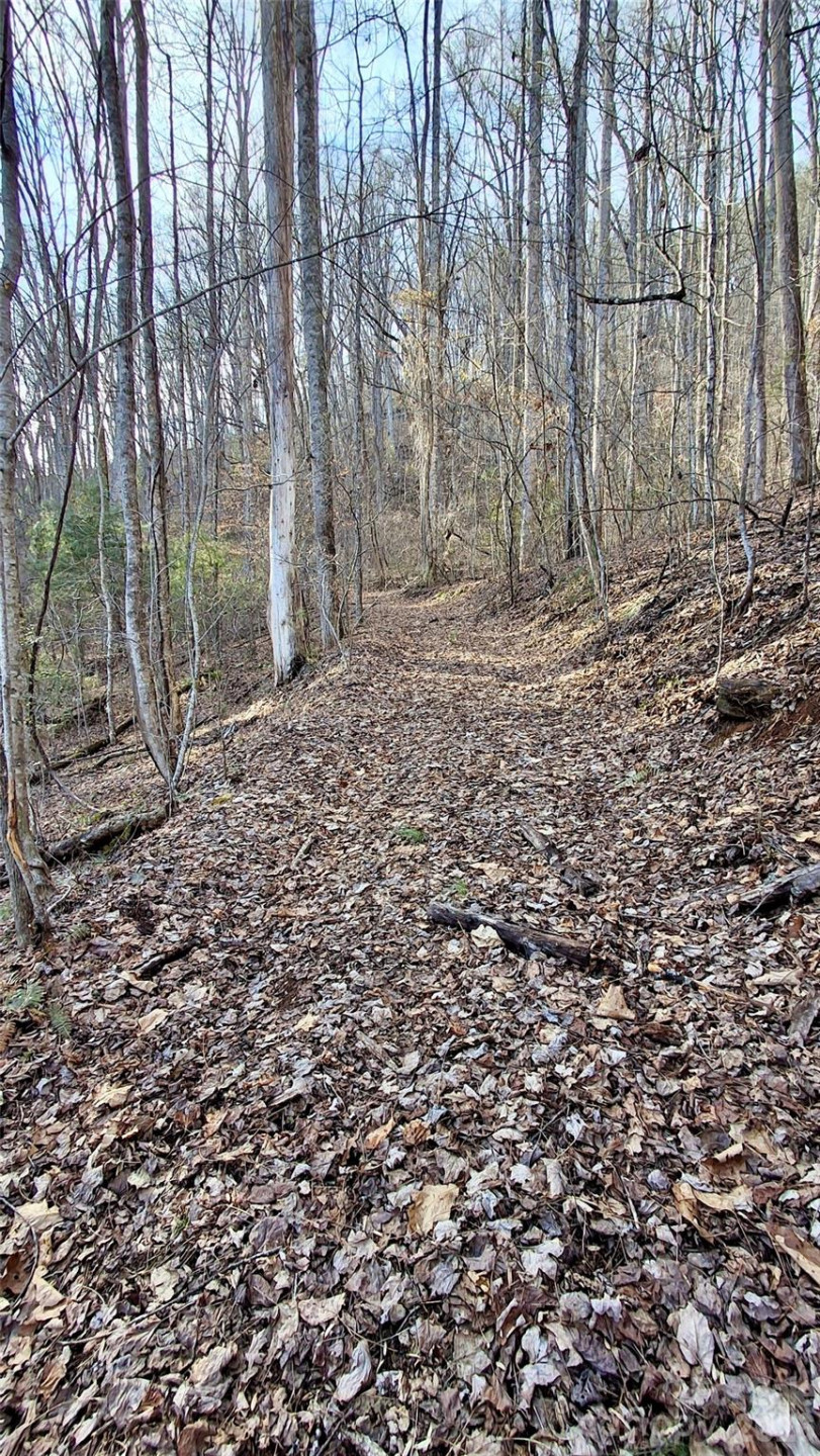 0 Briarwood Road - Photo 17