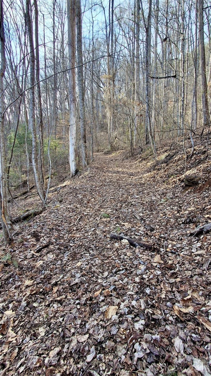 0 Briarwood Road - Photo 17