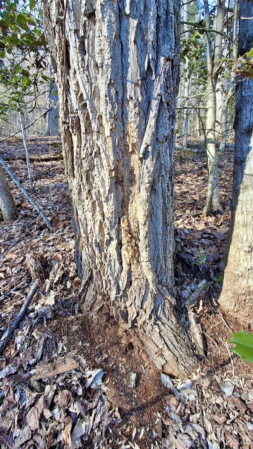 0 Briarwood Road - Photo 18