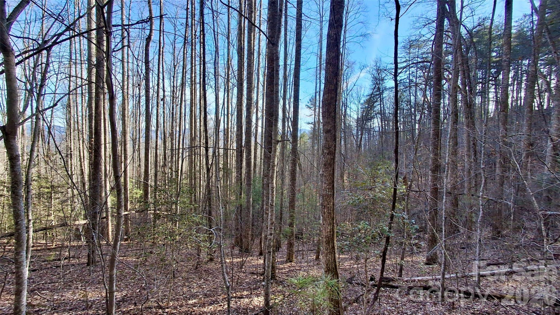 0 Briarwood Road - Photo 19