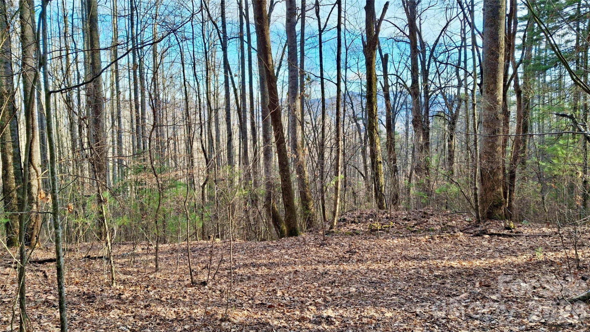 0 Briarwood Road - Photo 3