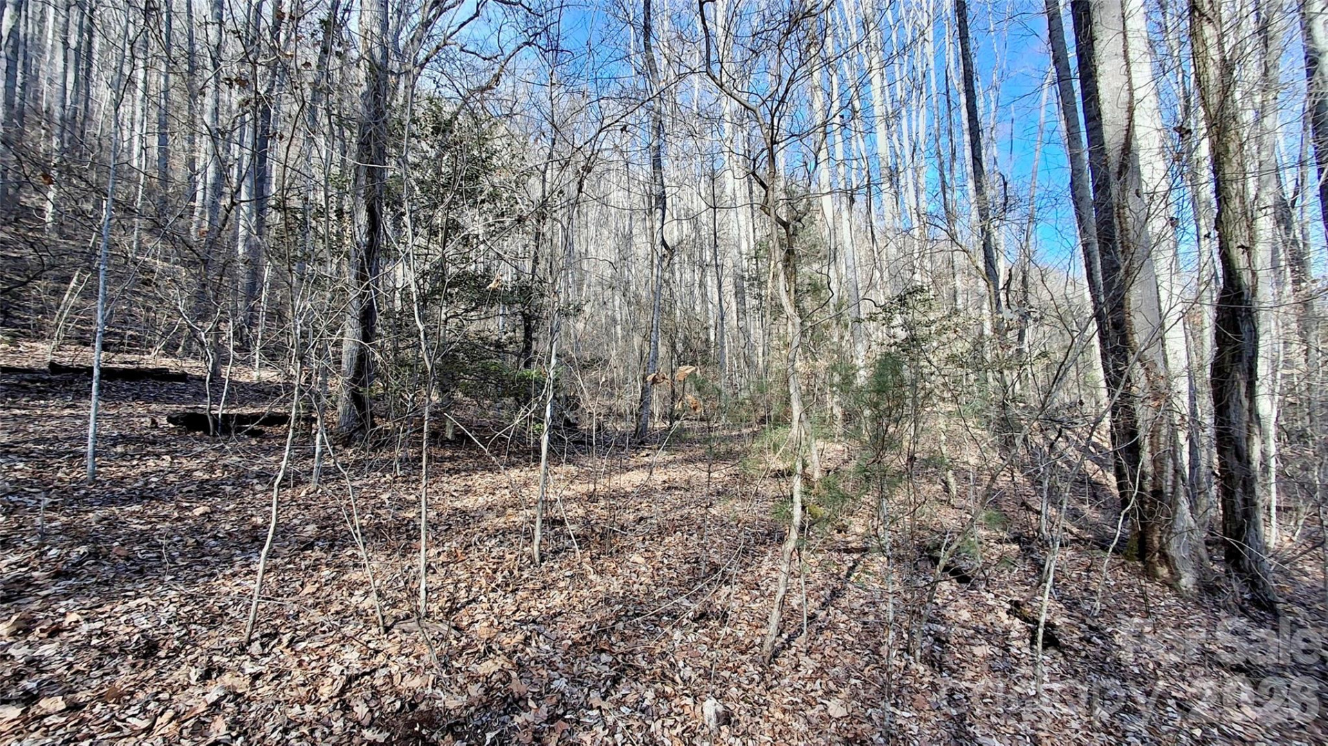 0 Briarwood Road - Photo 21