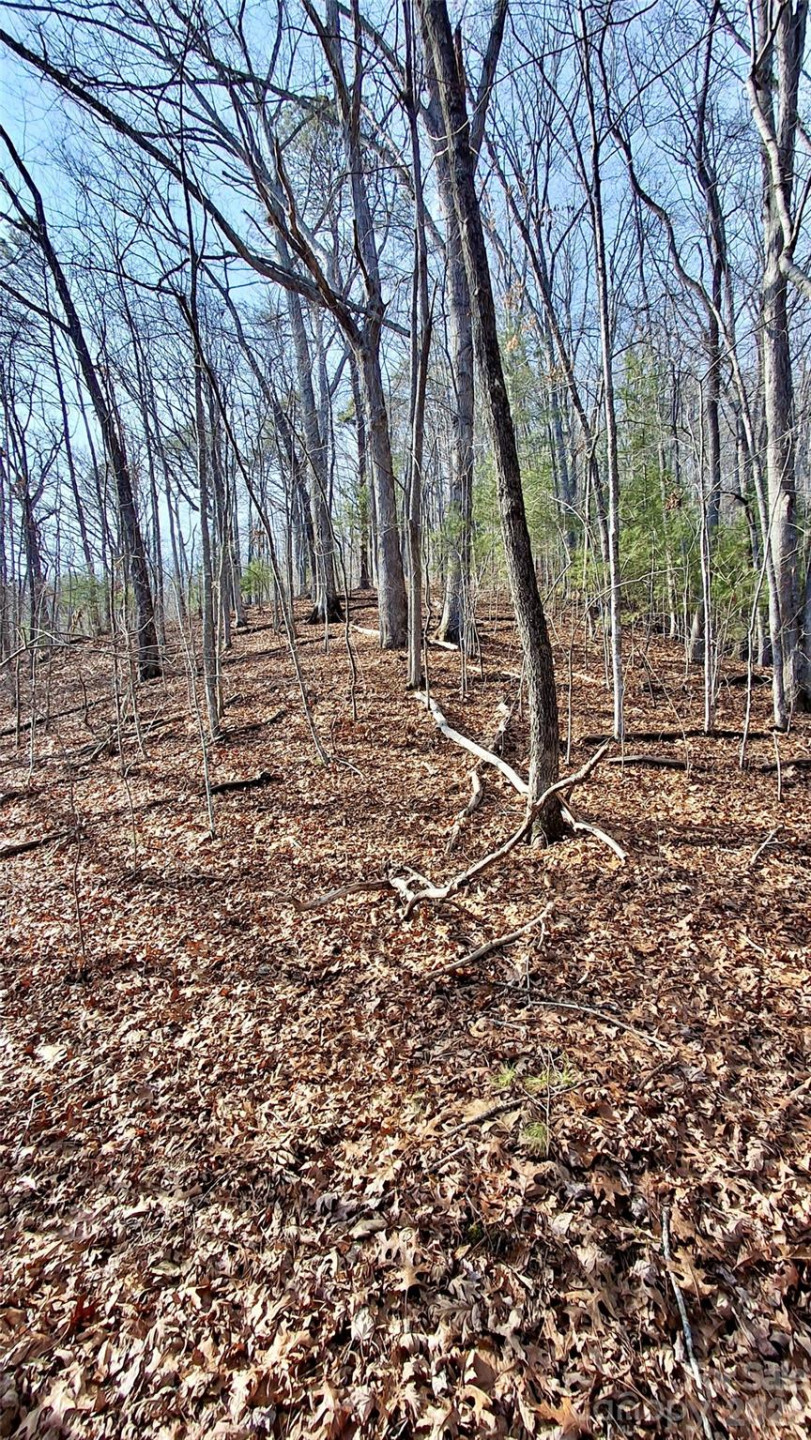 0 Briarwood Road - Photo 22