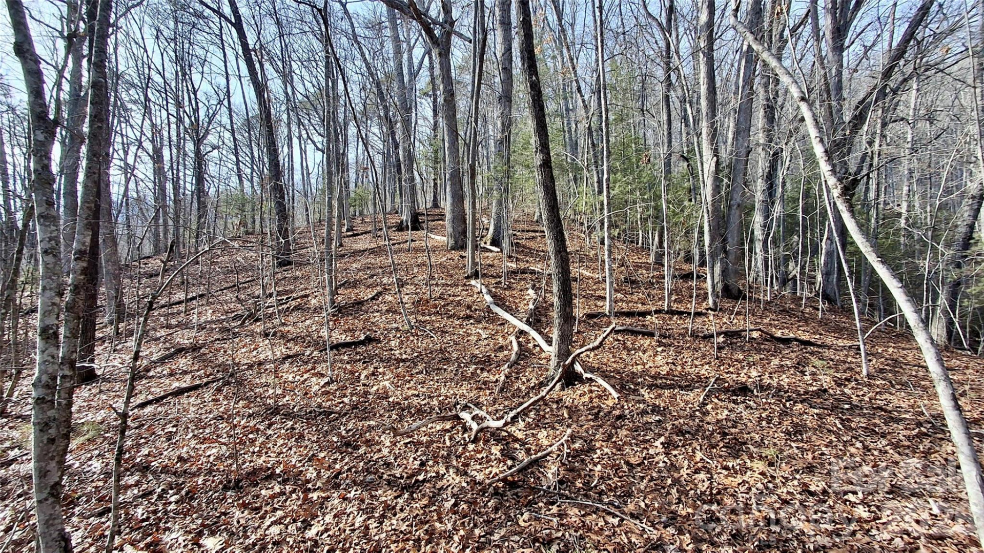 0 Briarwood Road - Photo 23