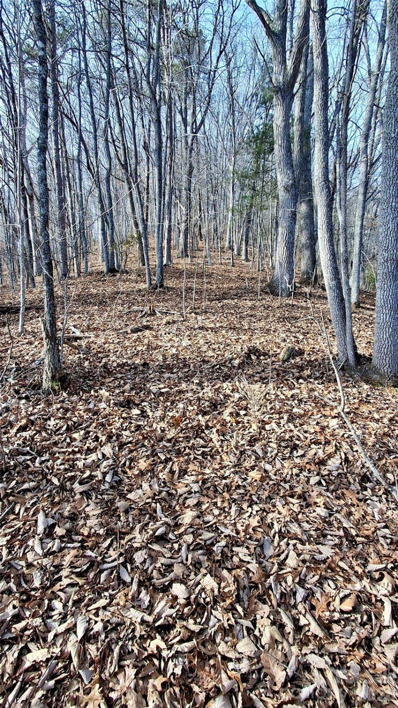 0 Briarwood Road - Photo 24