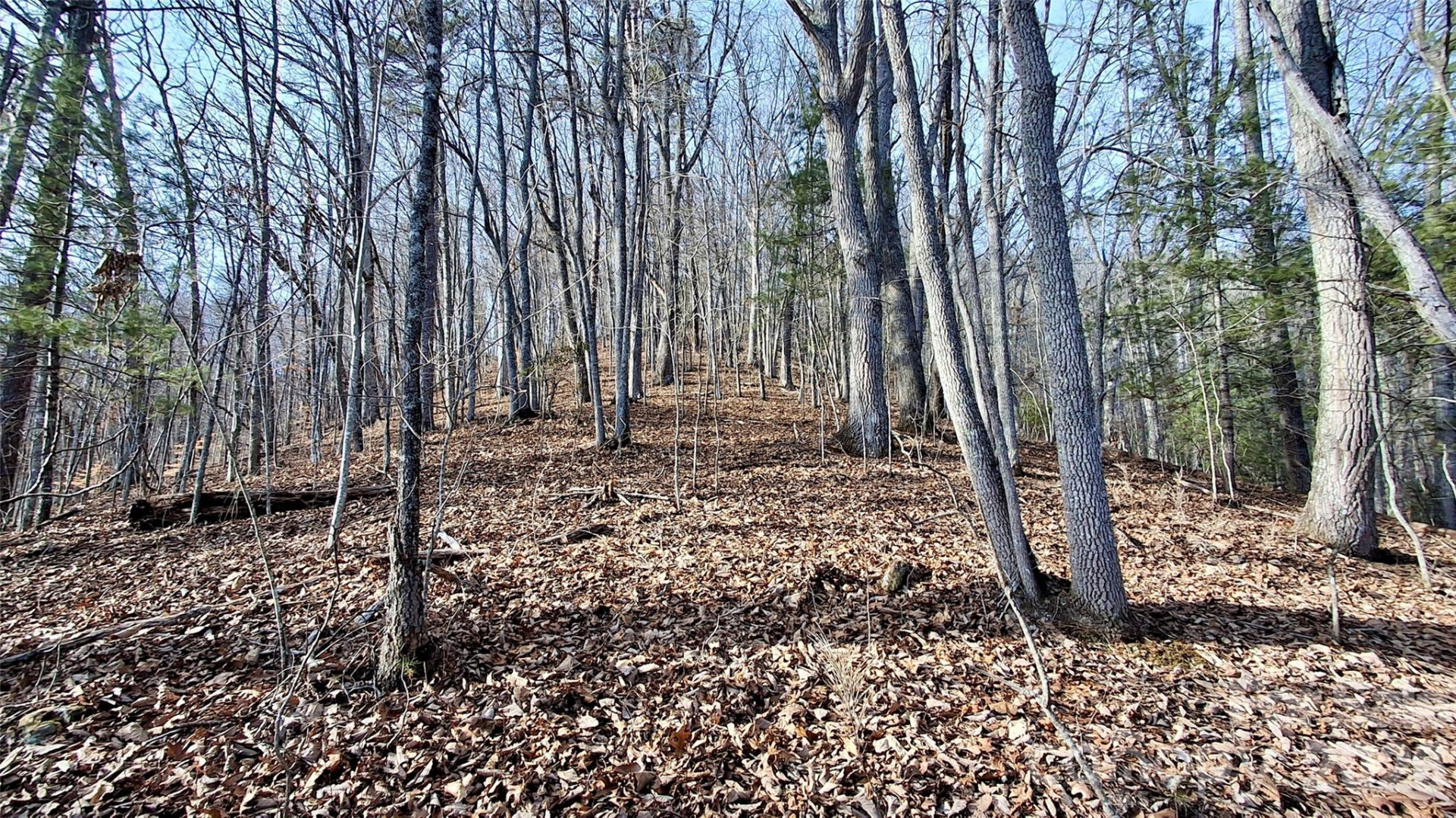 0 Briarwood Road - Photo 25