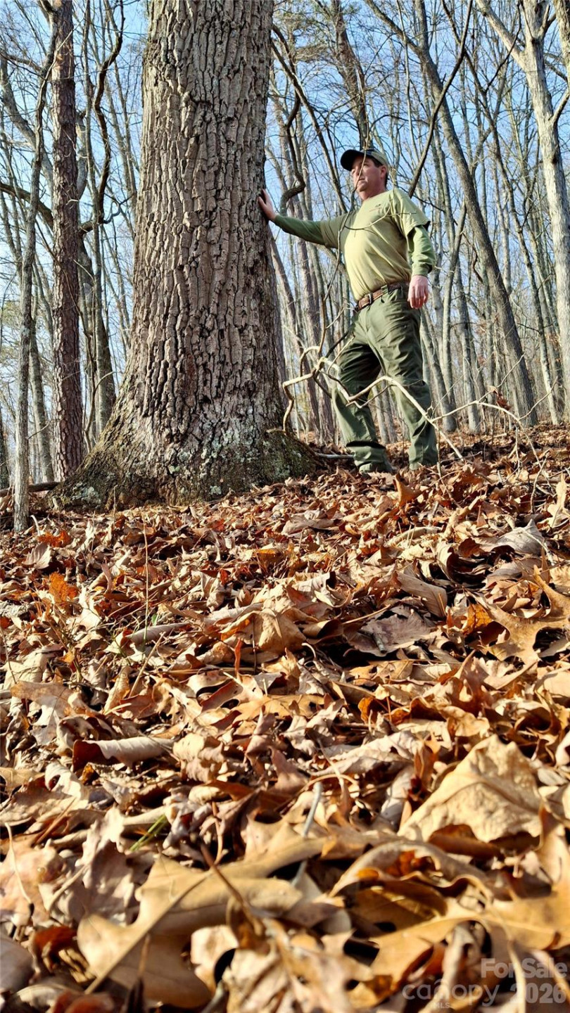 0 Briarwood Road - Photo 26