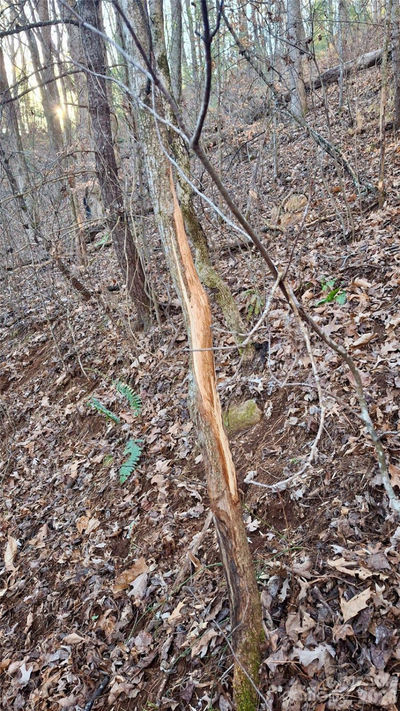 0 Briarwood Road - Photo 28