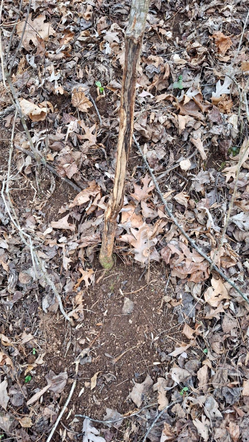 0 Briarwood Road - Photo 29