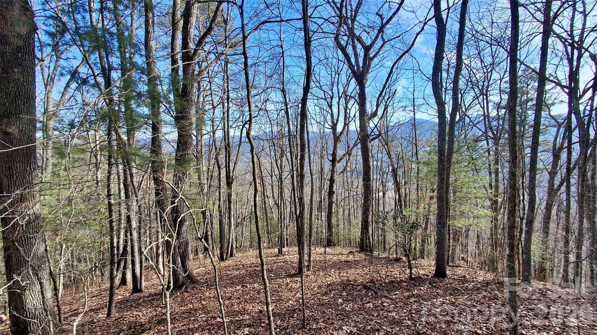 0 Briarwood Road - Photo 4