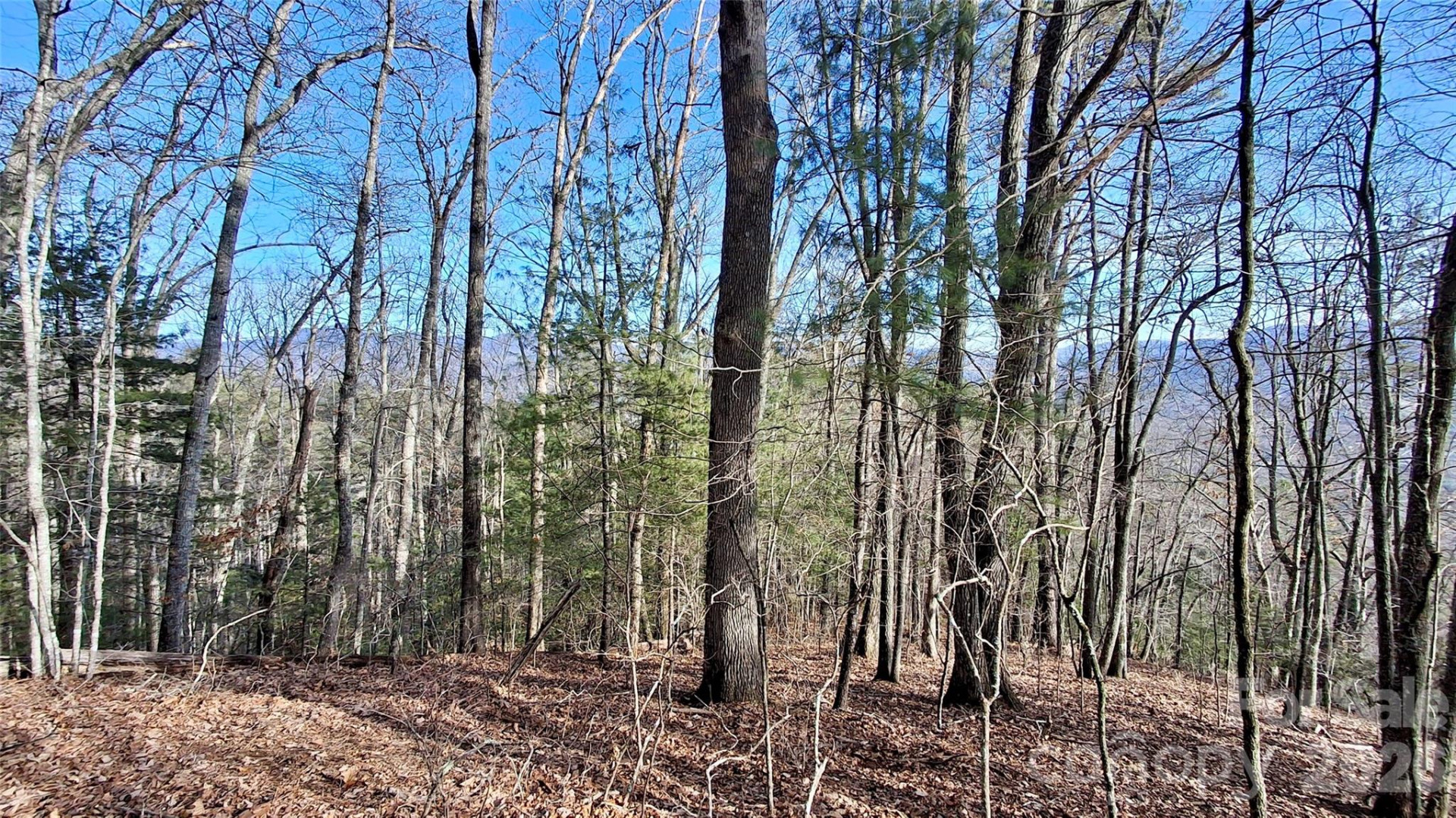 0 Briarwood Road - Photo 5