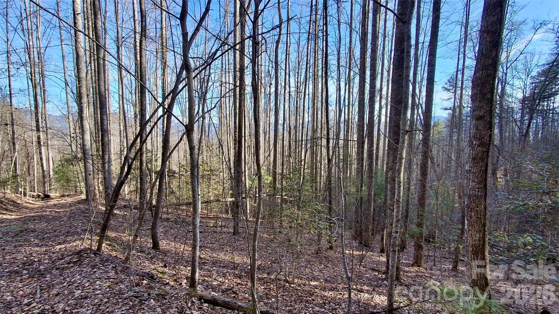 0 Briarwood Road - Photo 6