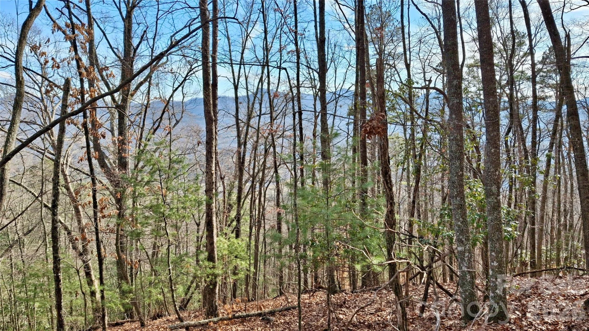 0 Briarwood Road - Photo 7
