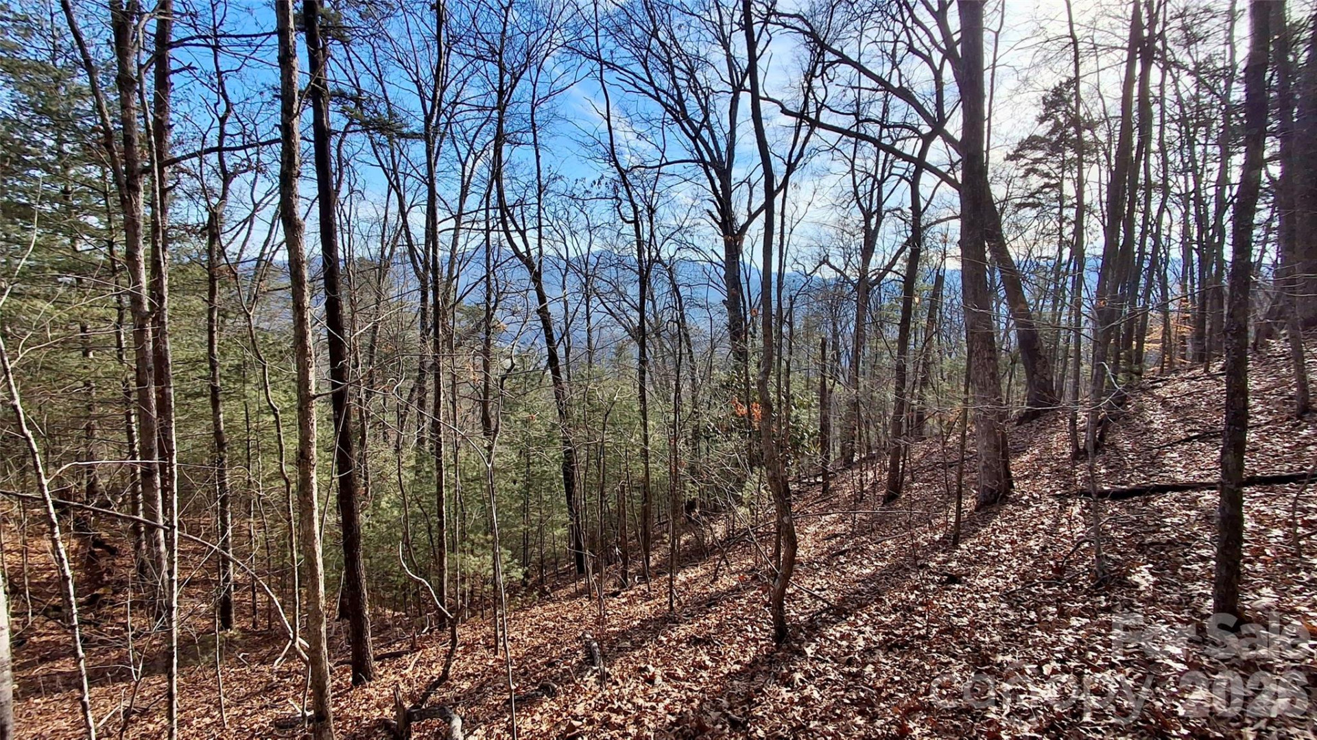 0 Briarwood Road - Photo 8