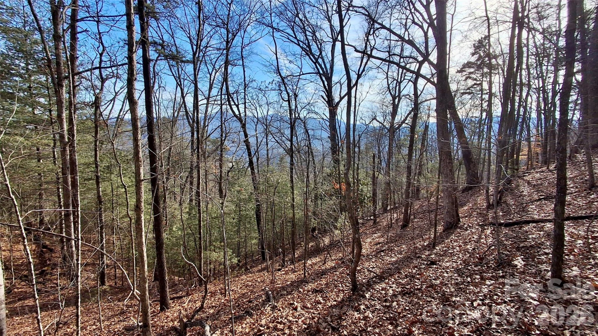 0 Briarwood Road - Photo 8