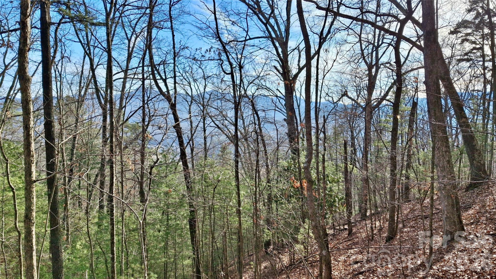 0 Briarwood Road - Photo 9