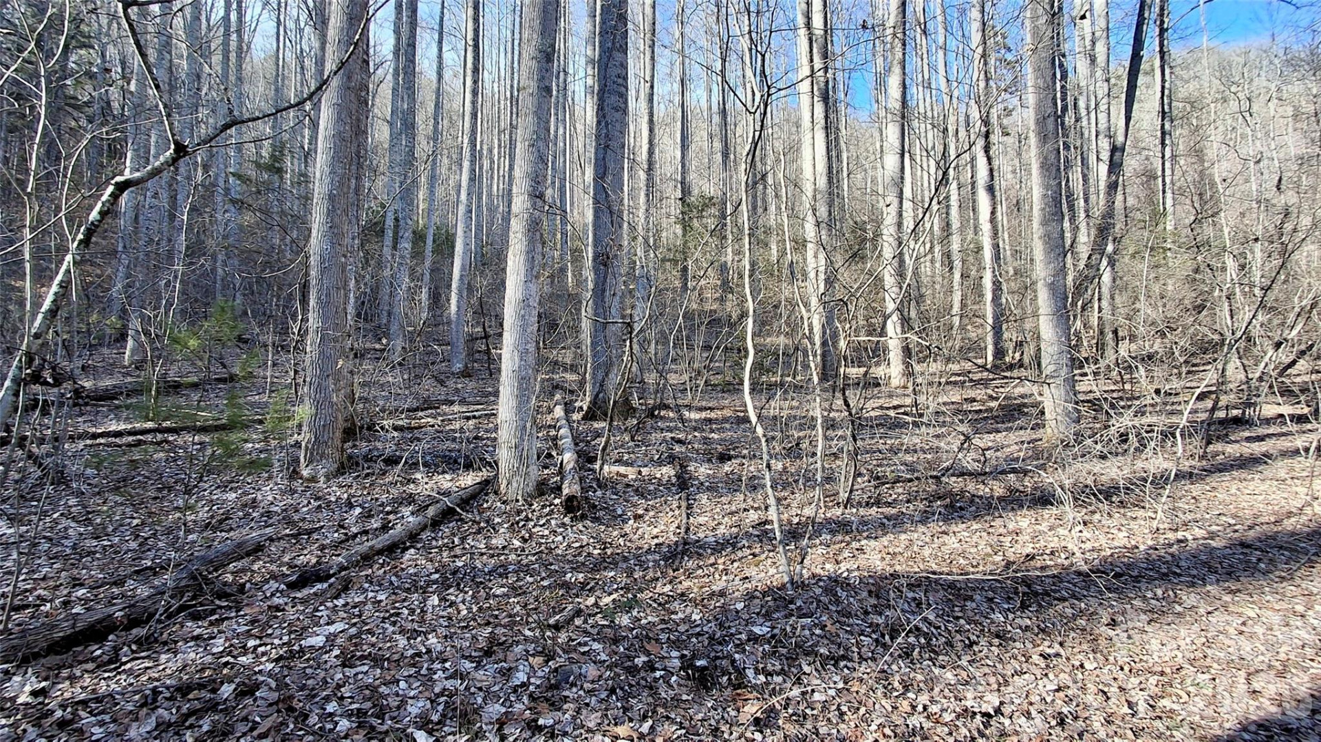 0 Briarwood Road - Photo 10