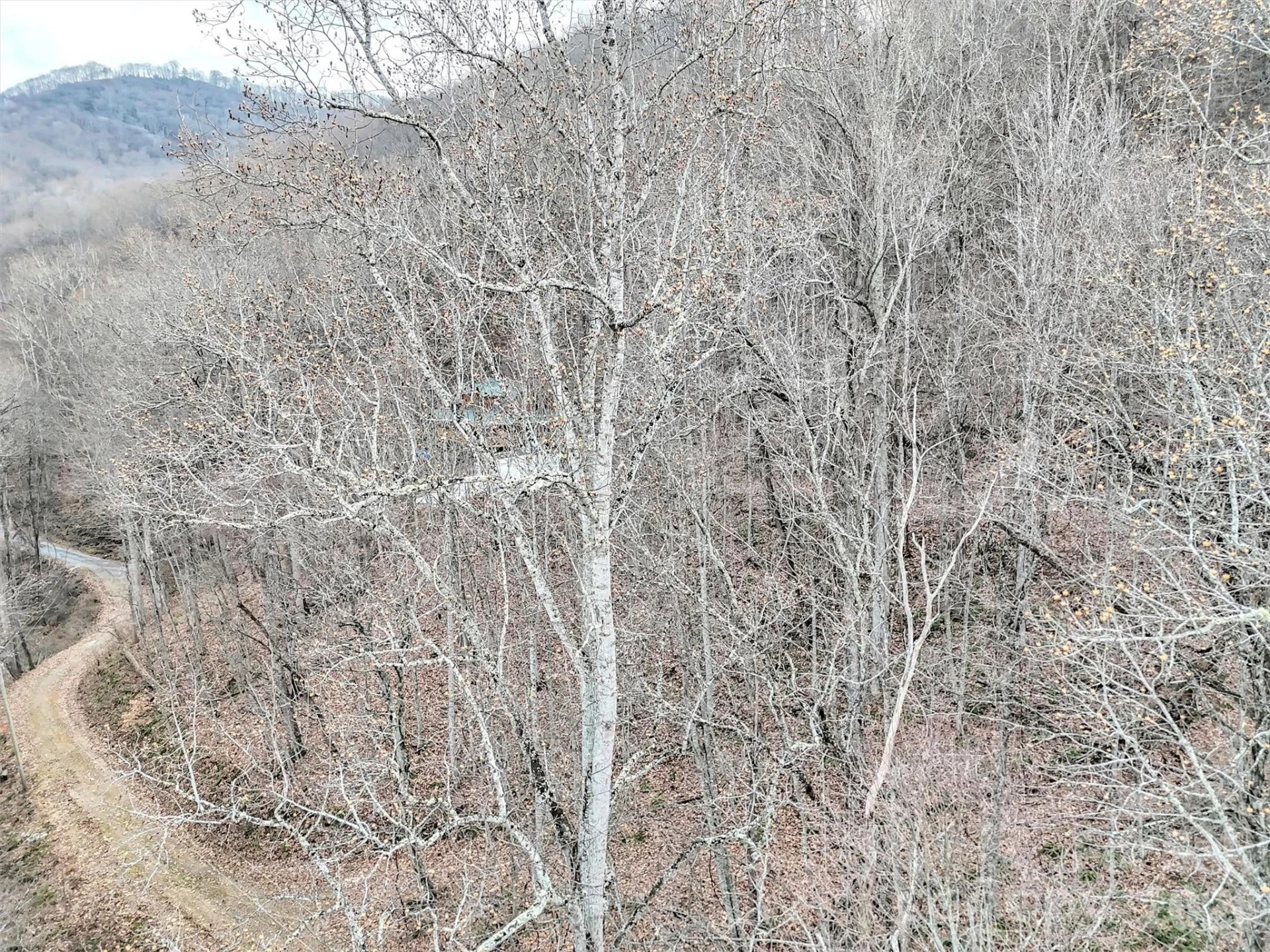 Lot 4D Pelican Place - Photo 5