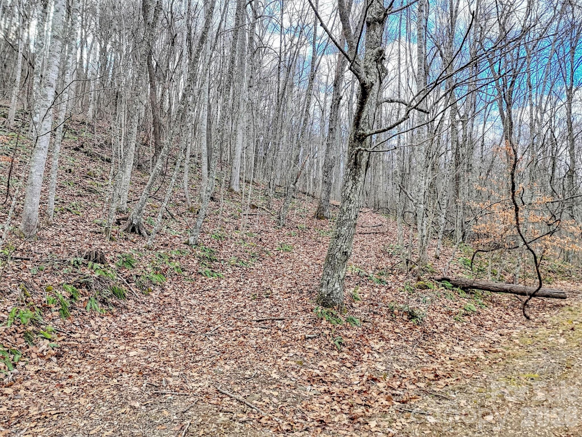 Lot 4D Pelican Place - Photo 7